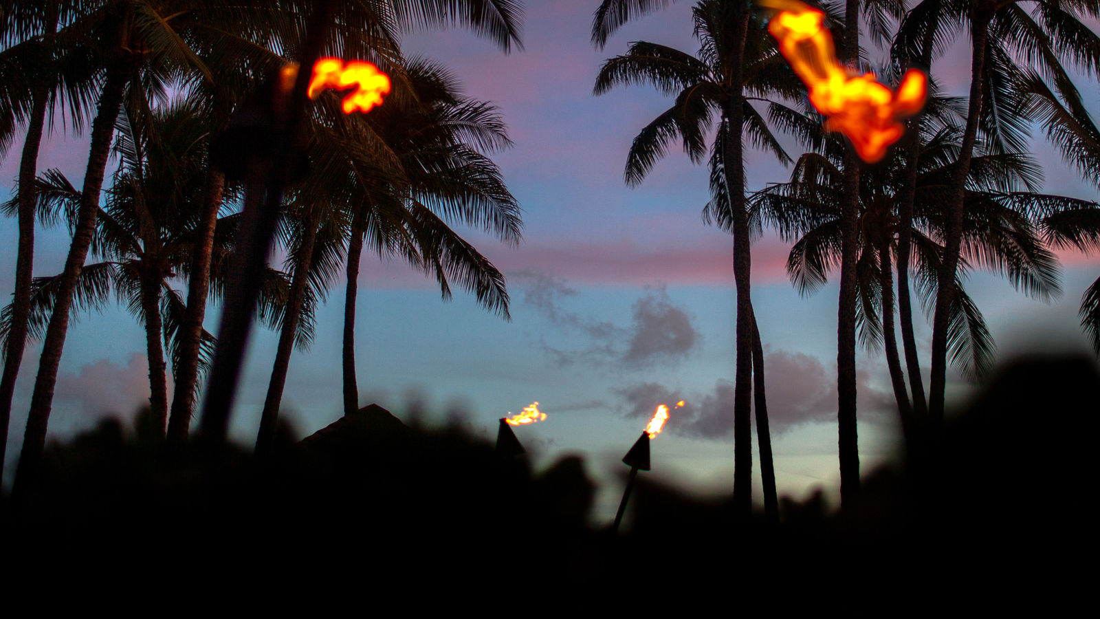 Damian Loeb, Waikiki, 2022