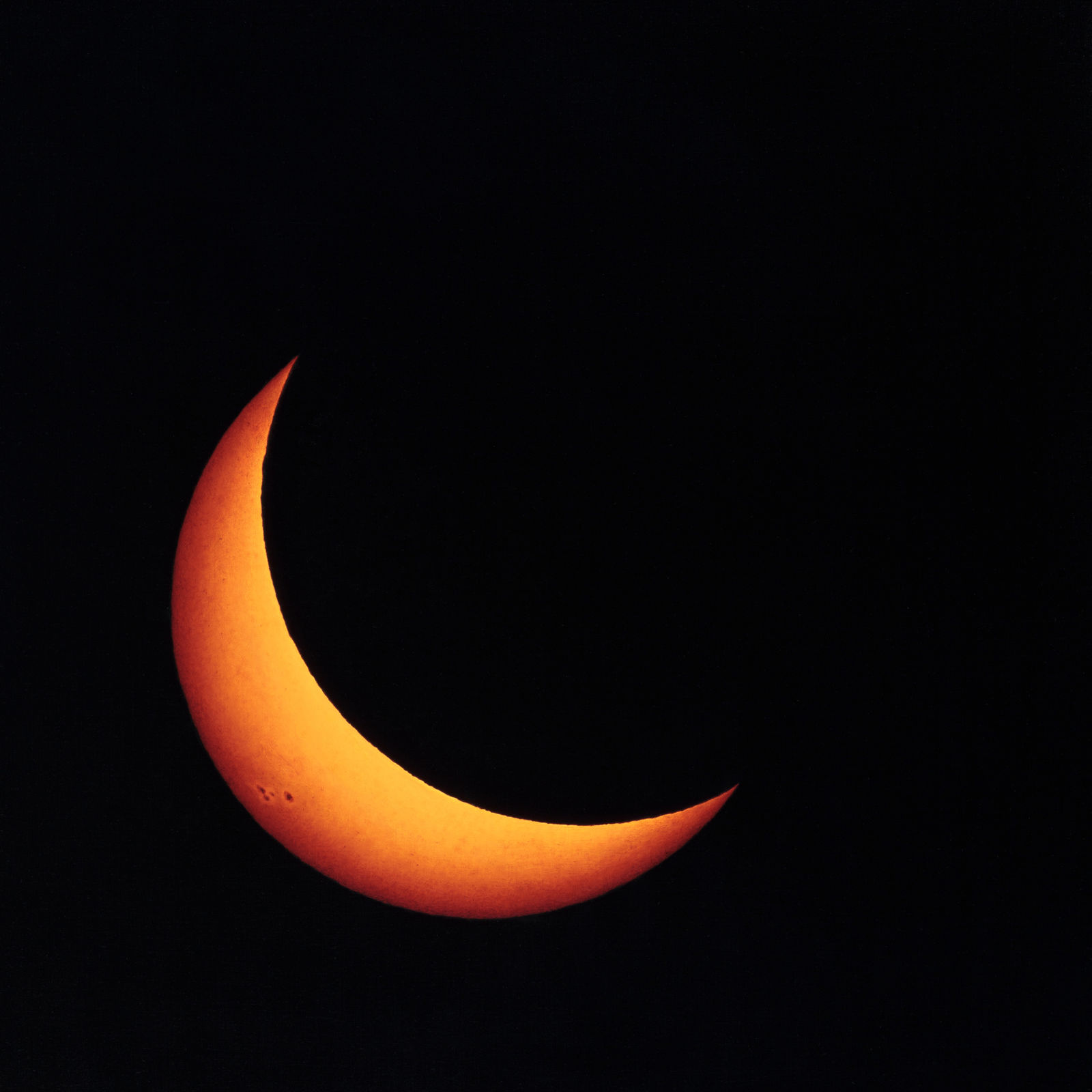 Damian Loeb, Denial, 2018