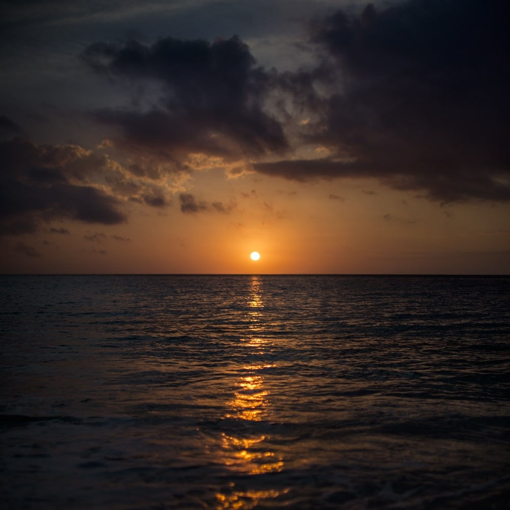 Damian Loeb, I Had It Coming, 2015