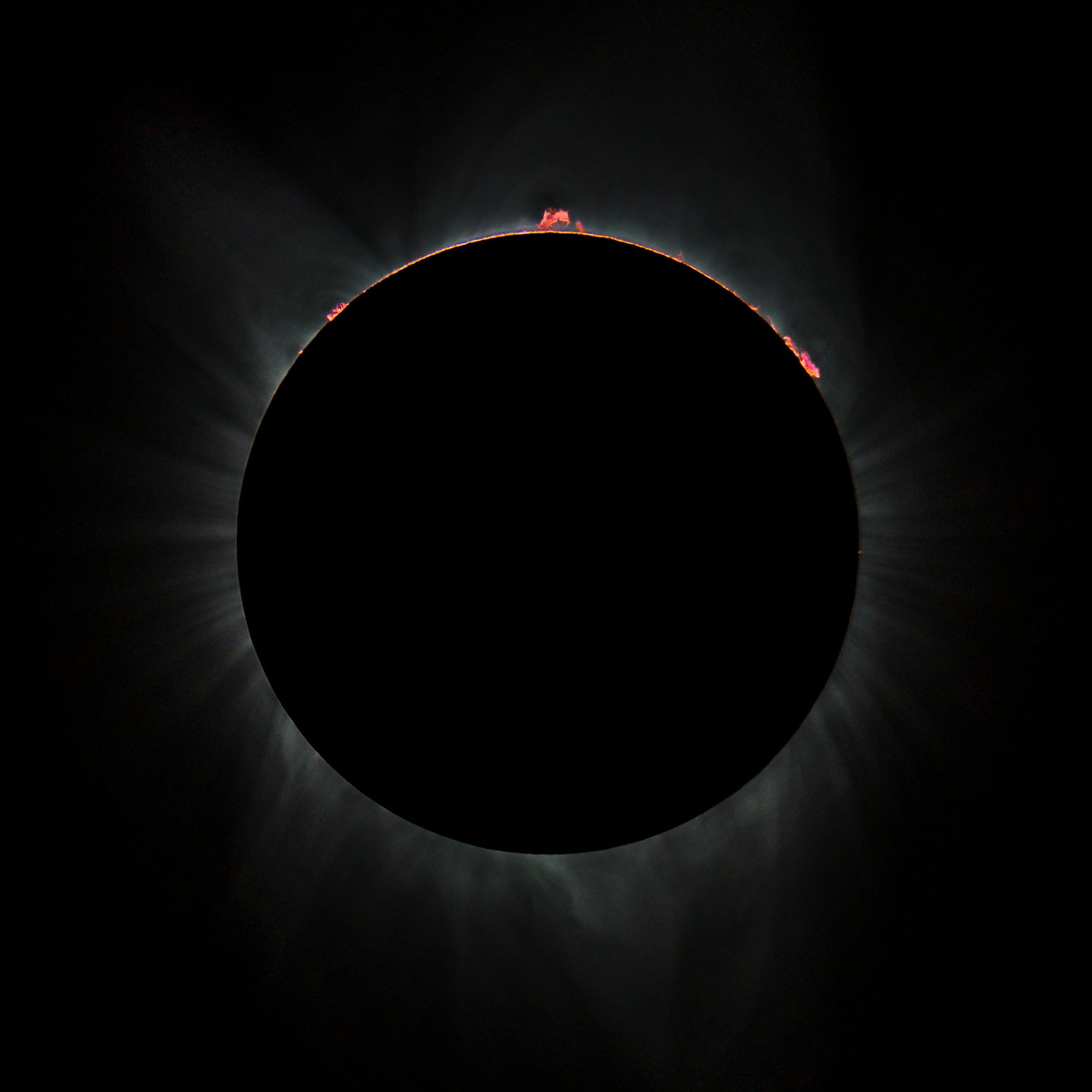 Damian Loeb, Untitled, 2018