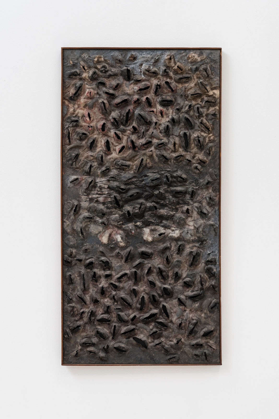 Frans Krajcberg, Untitled, 1960