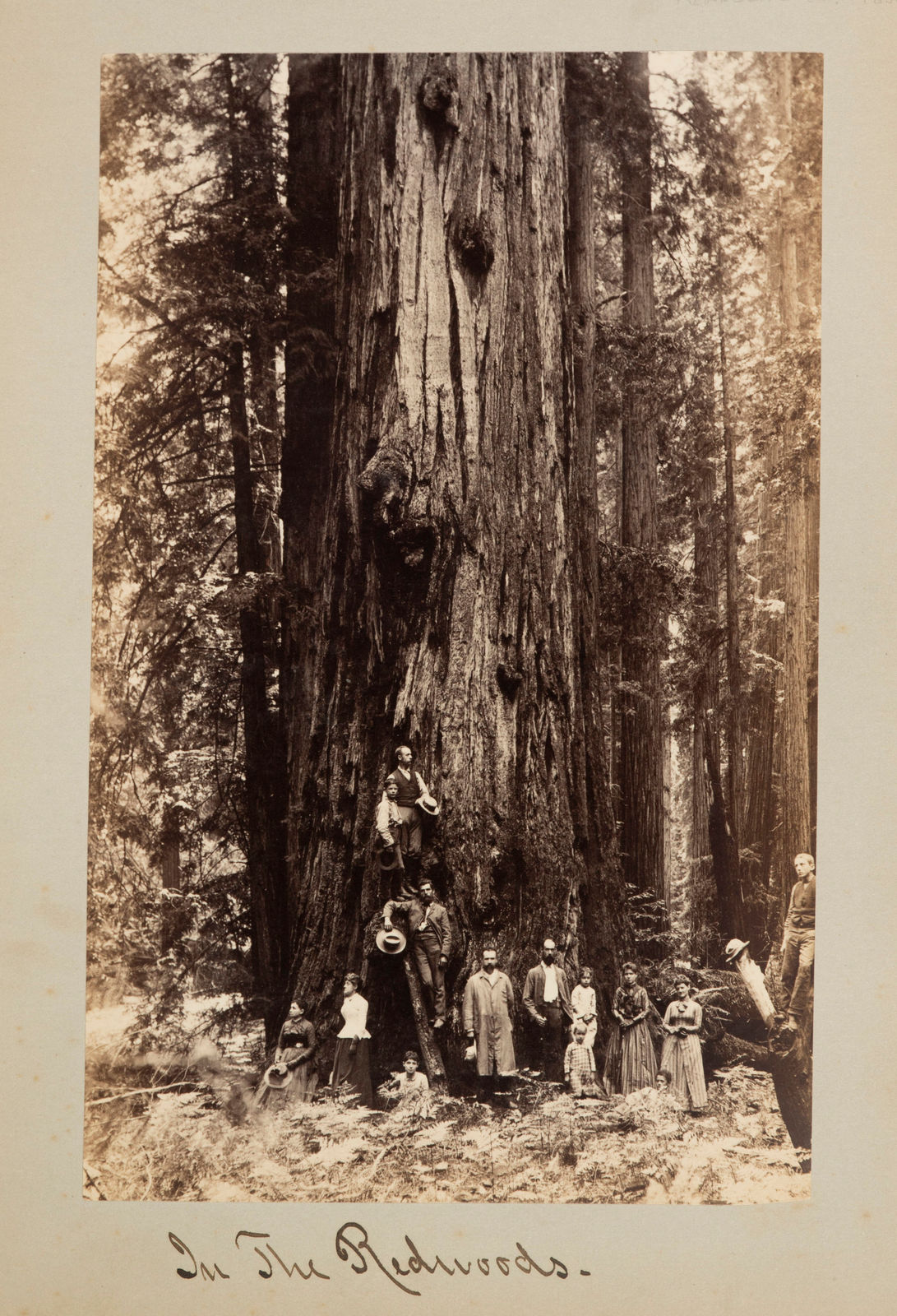 Aurelius O. Carpenter, Disbound Album with Views around Mendocino County, c. 1882