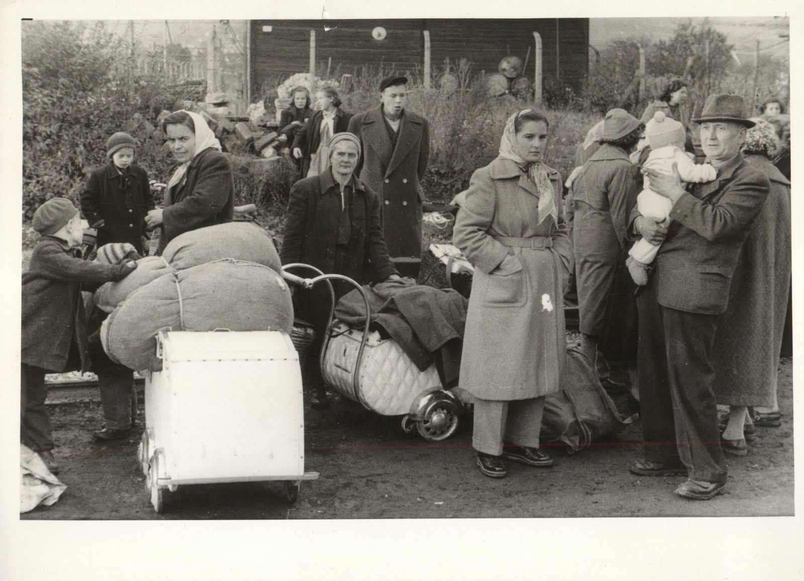 [Hungarian Revolution], Photo-journalistic account of the 1956 uprising, 1956-57