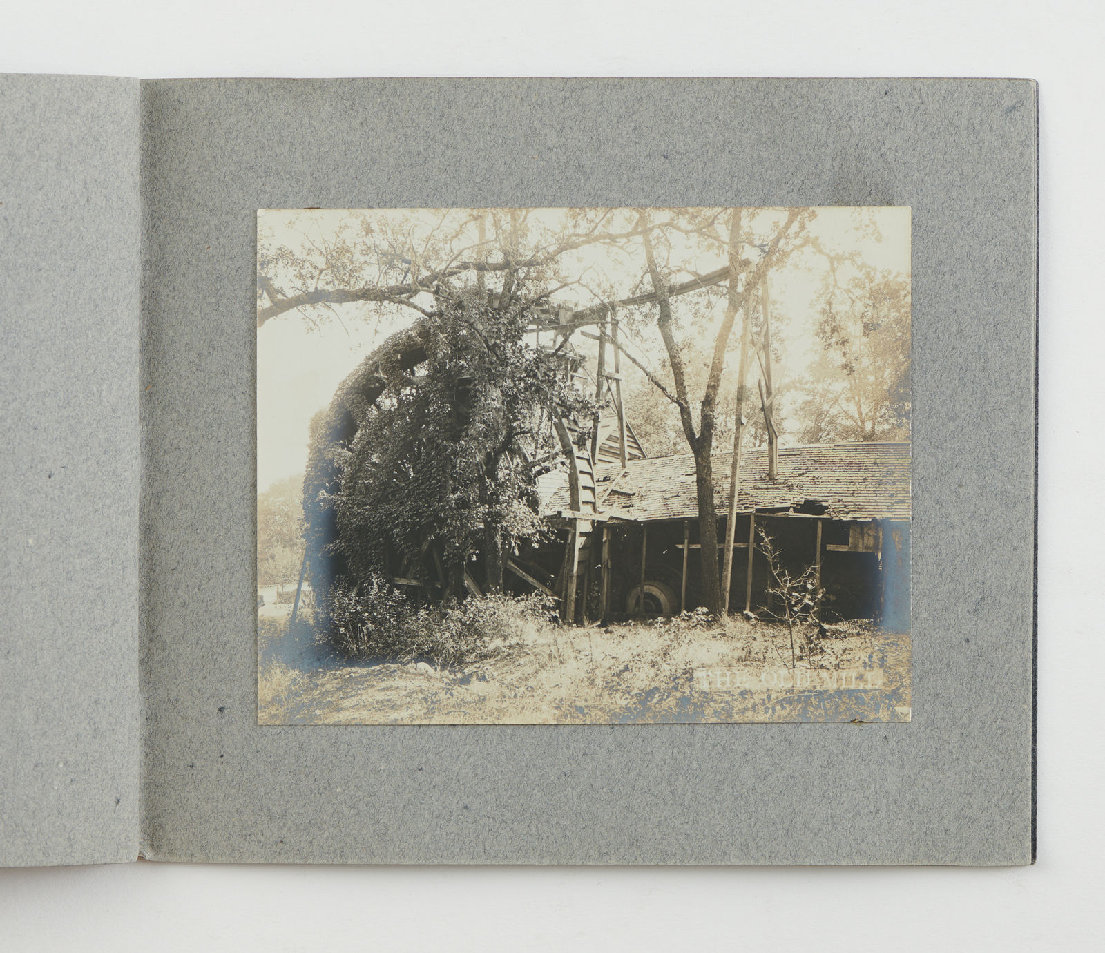 [California Wine Country], Album of Napa Valley views, 1903