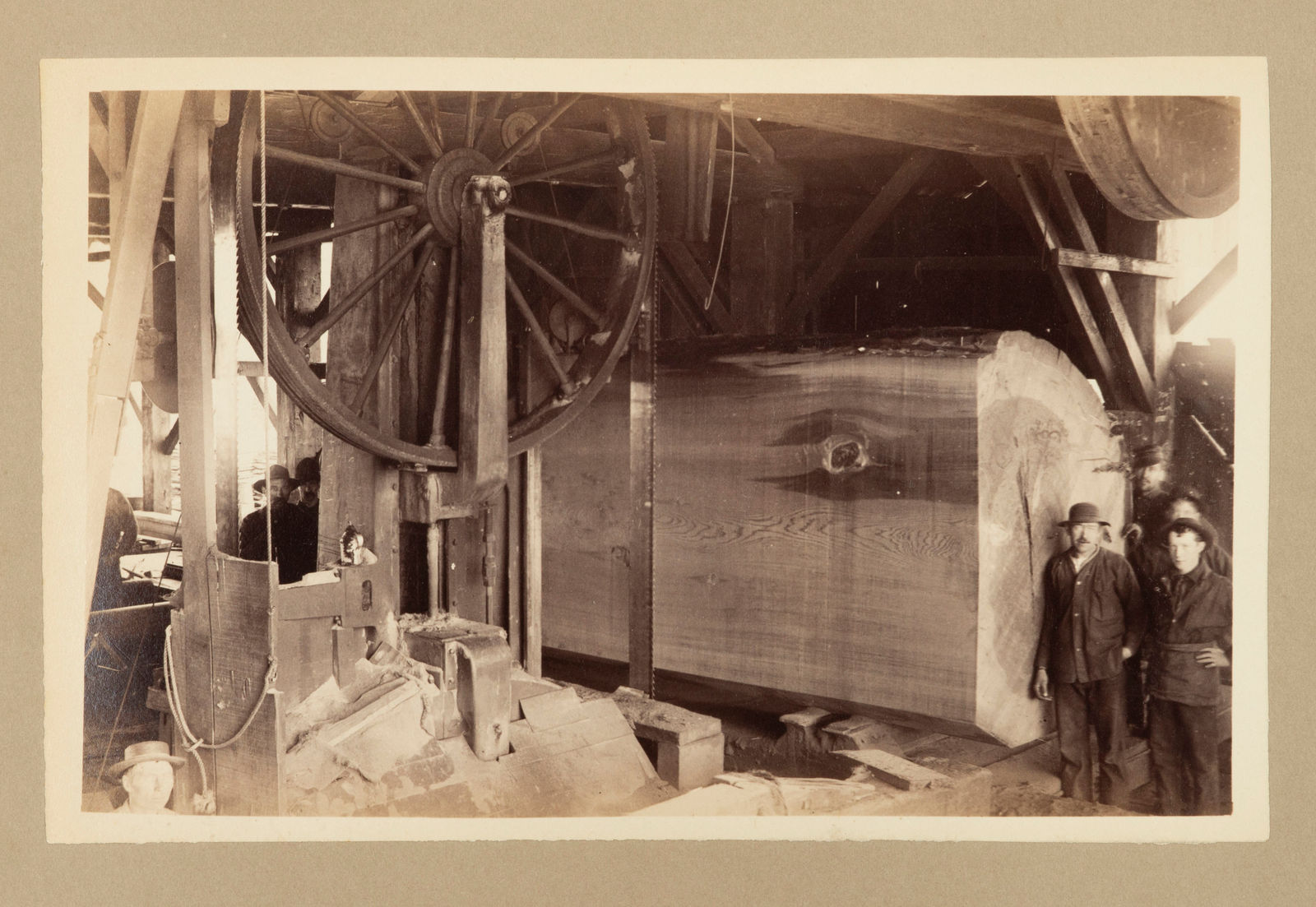 Aurelius O. Carpenter, Disbound Album with Views around Mendocino County, c. 1882