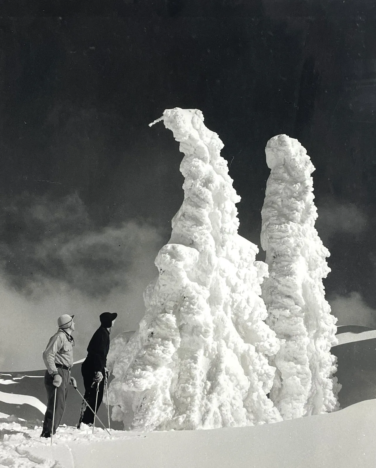 Walt P. Dyke, Timberline, c. 1950