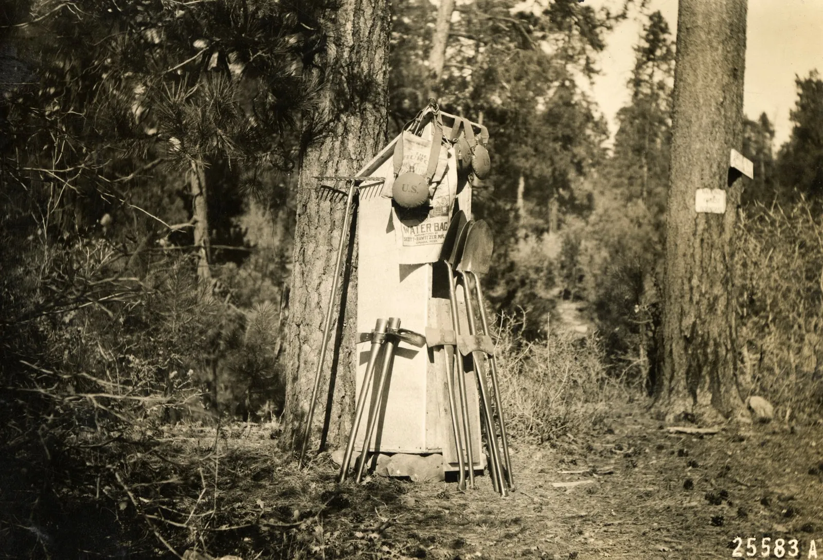 [U.S. Forest Service], An archive with over 150 photographs which focus on wildfire prevention, land management, and forestry reclamation practices in the earliest days of the Forest Service, 1900s-1930s