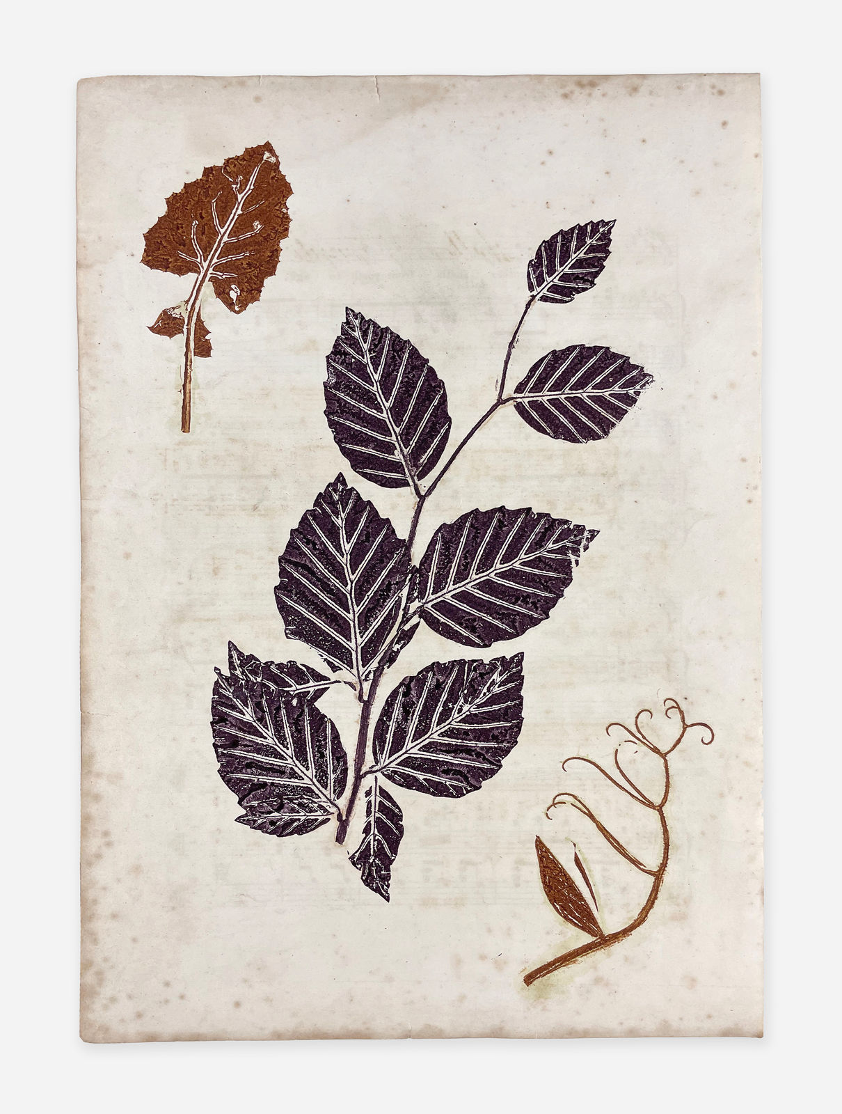 John & Jane Jeffery, Untitled , 2018