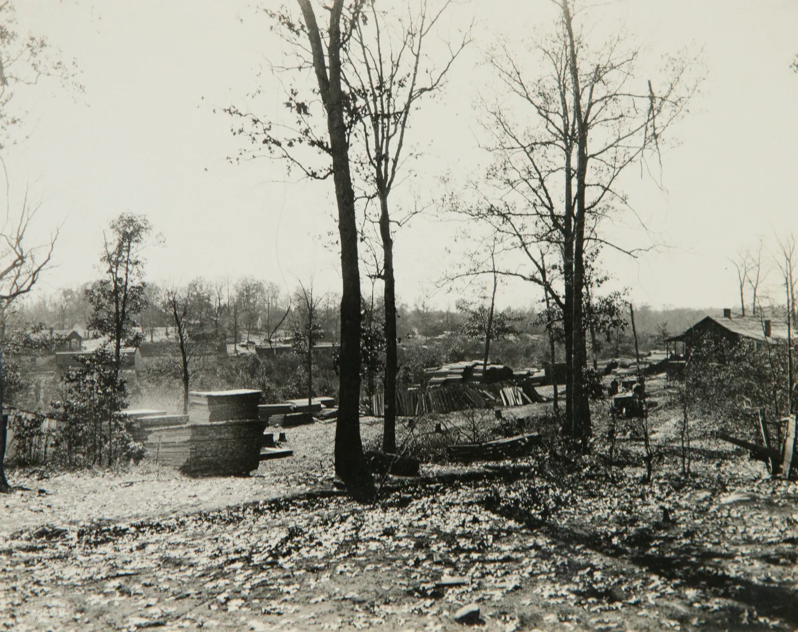 W. Frank Jones, Company album for the Minnessee Coal and Timber Co., c. 1920