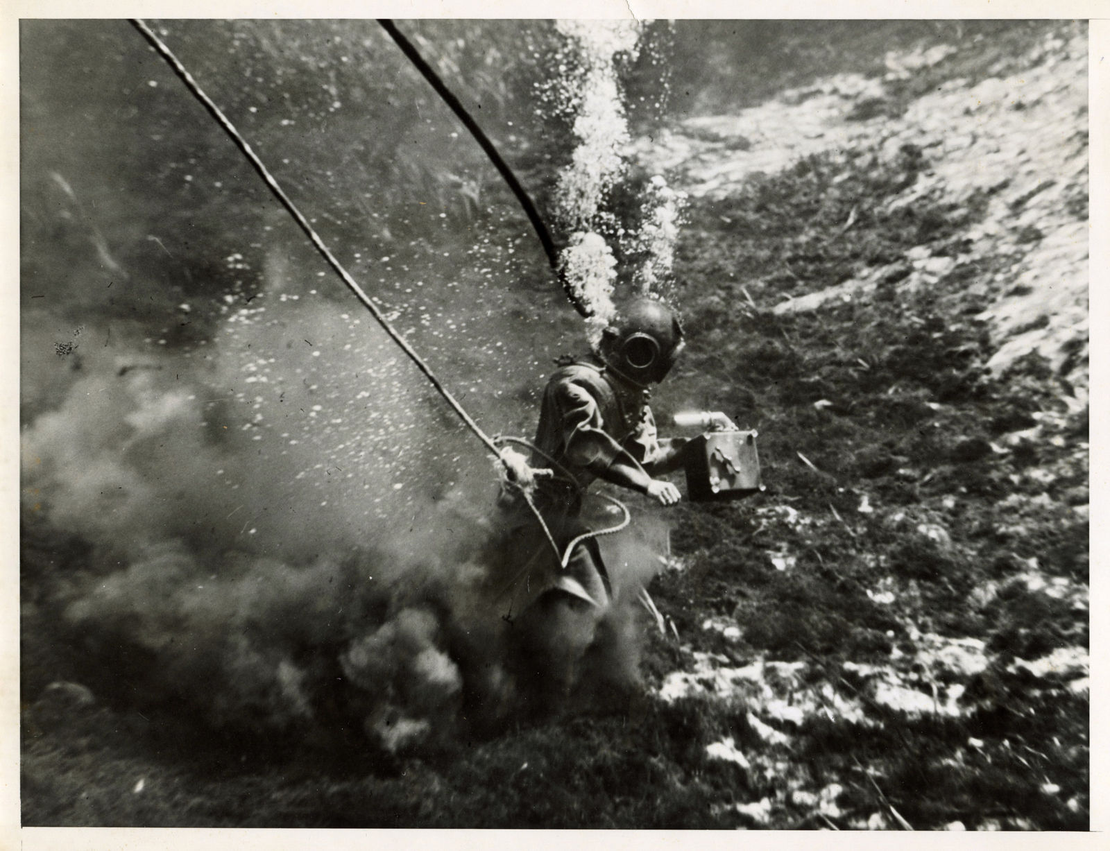 Unknown, Underwater Photographer Taking Pictures of Giggle Fish, Crystal Springs, Florida, 1930s