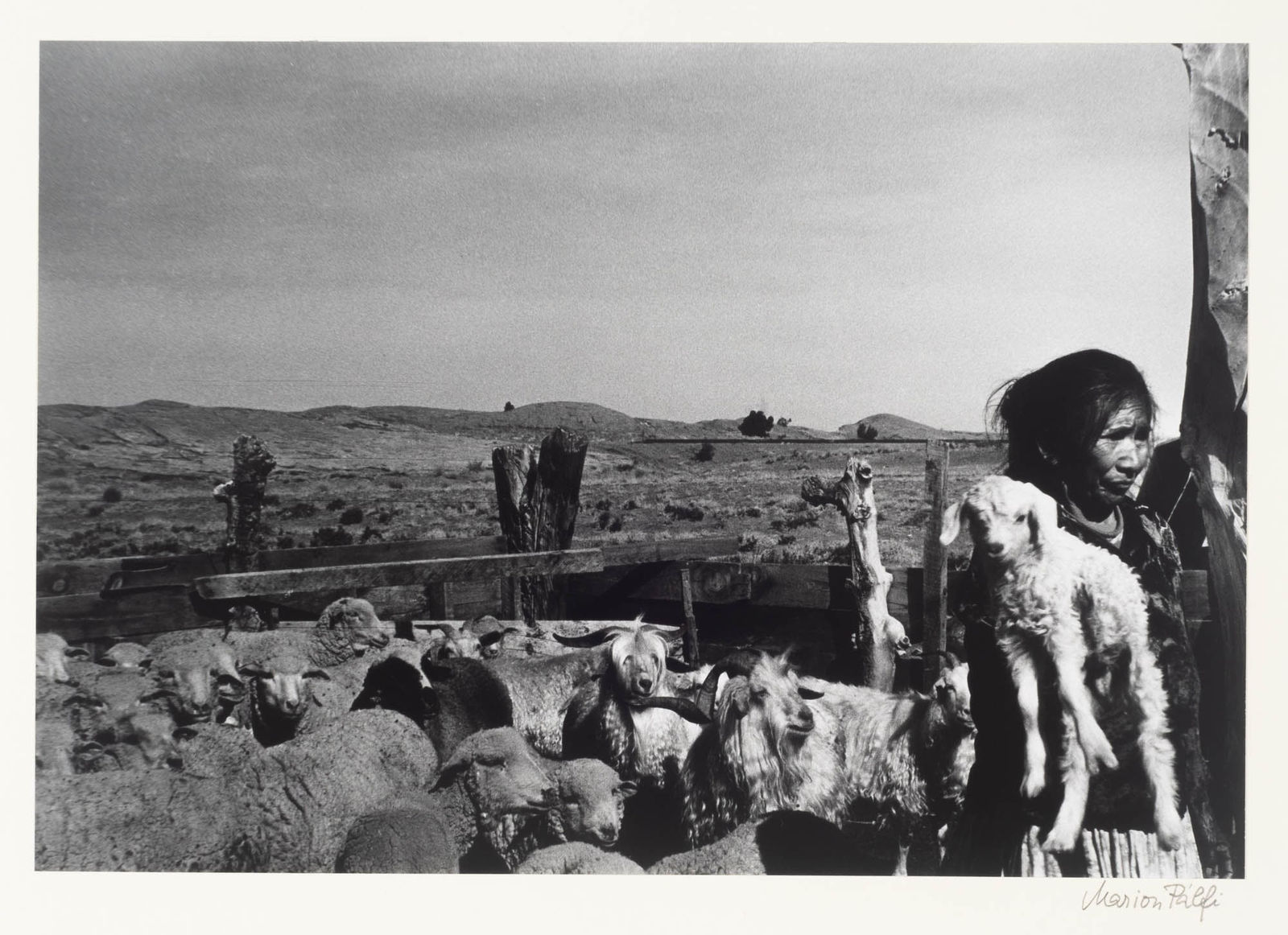 Marion Palfi, 32 Photos from "First I Like the Whites..." a Study on Native American Life, 1967-69