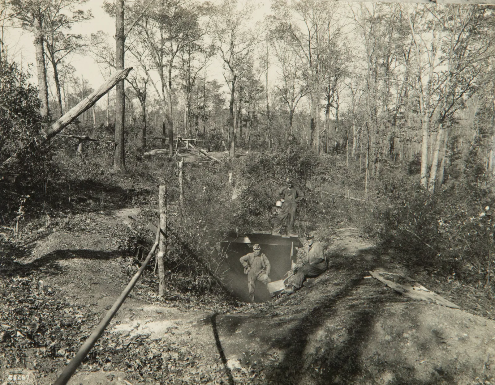 W. Frank Jones, Company album for the Minnessee Coal and Timber Co., c. 1920
