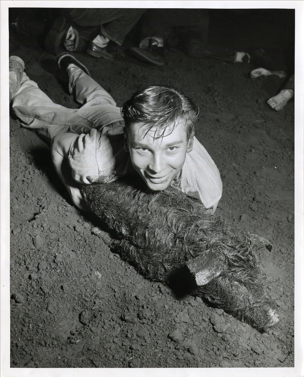 [Cow Palace], Large Collection of Photos Showing the Grand National Livestock Expositions in Daly City, CA, 1950s