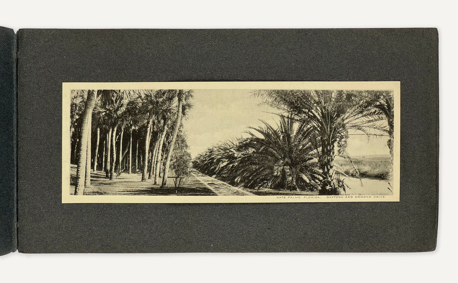 [Florida], Pair of Albums Titlled "Gems of Daytona, Fla", 1900s