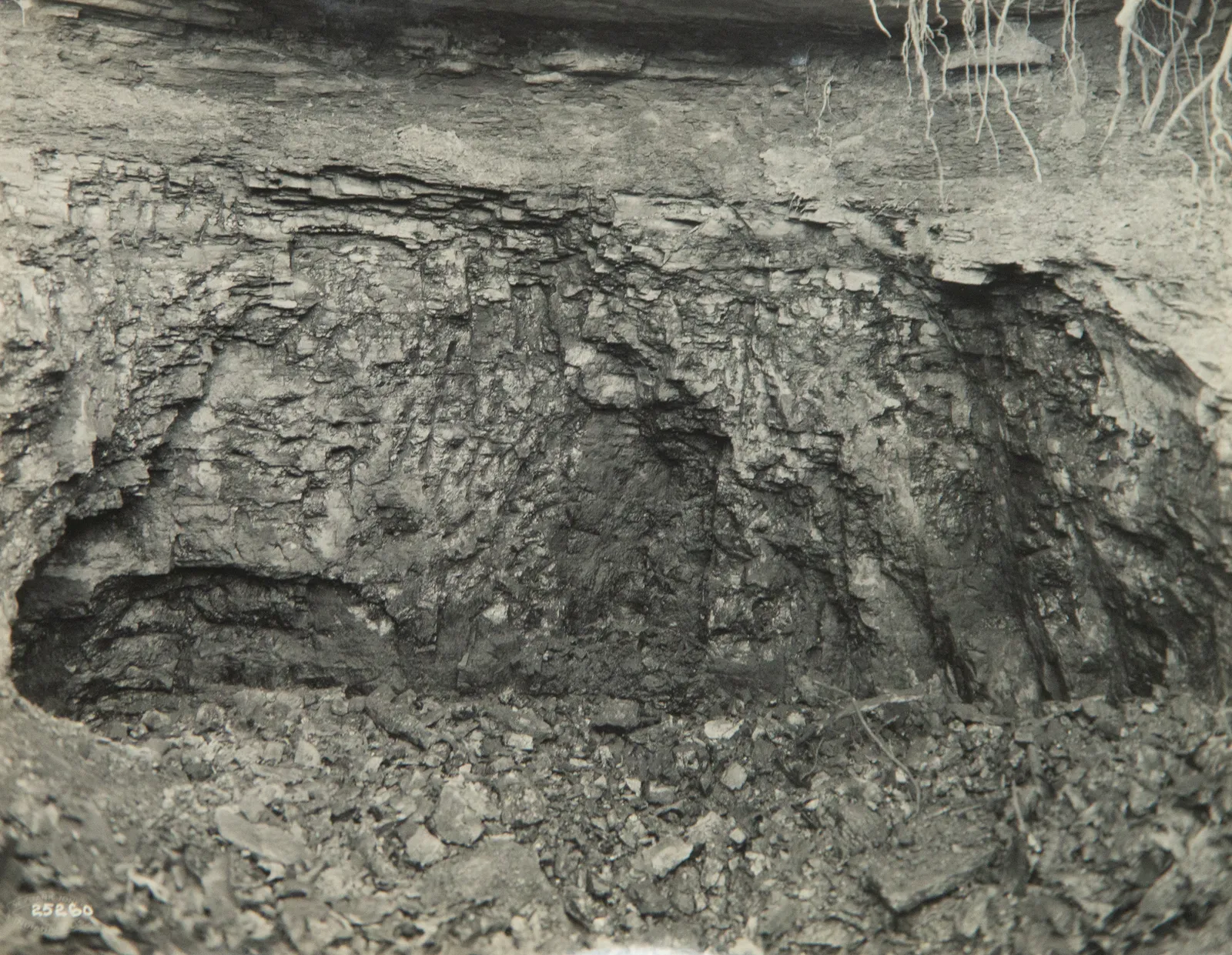 W. Frank Jones, Company album for the Minnessee Coal and Timber Co., c. 1920