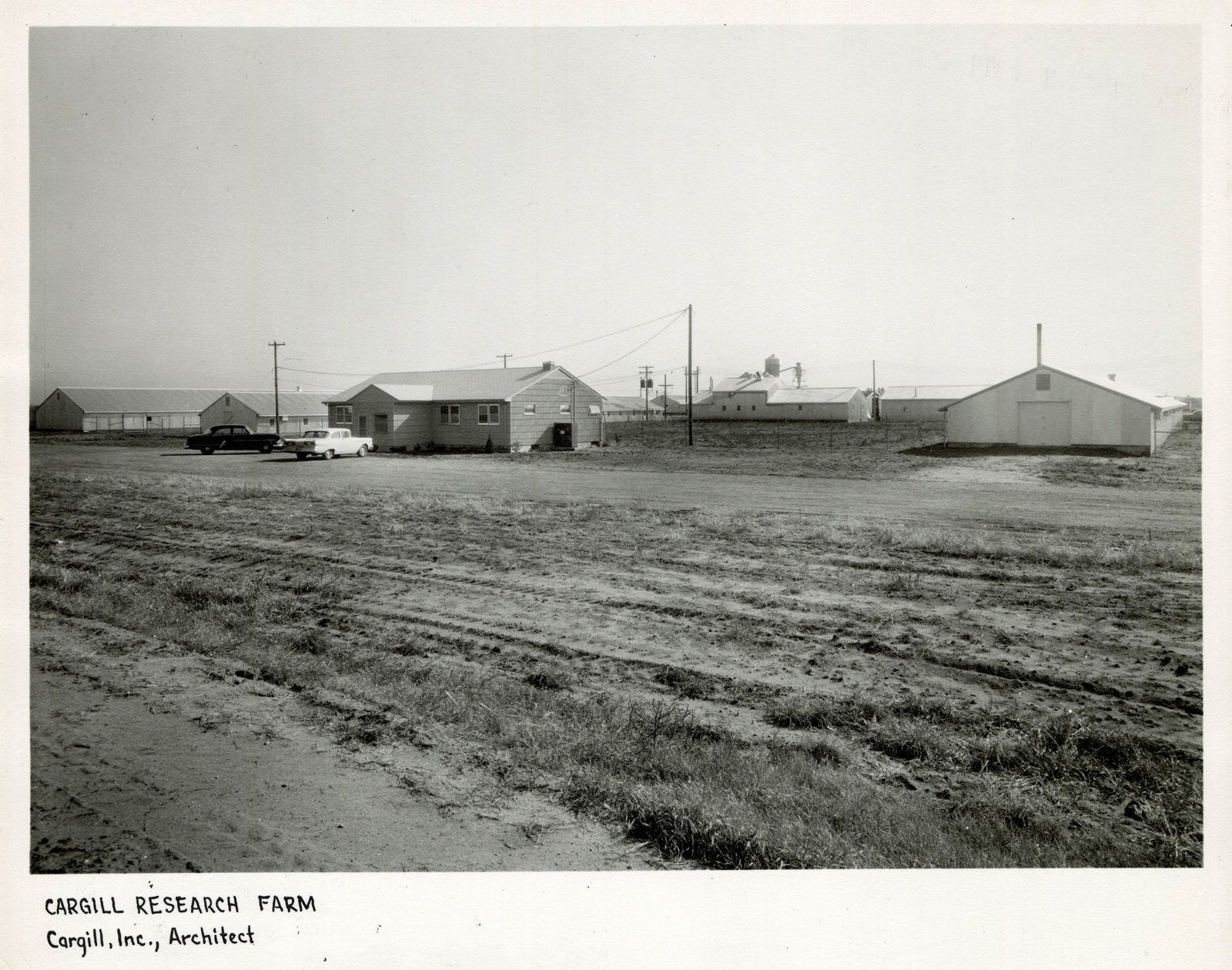 [Twin Cities Architecture], Collection of 25 handsomely composed Architectural Photographs by a Minneapolis-based Photographers Norton & Peel, c. 1960