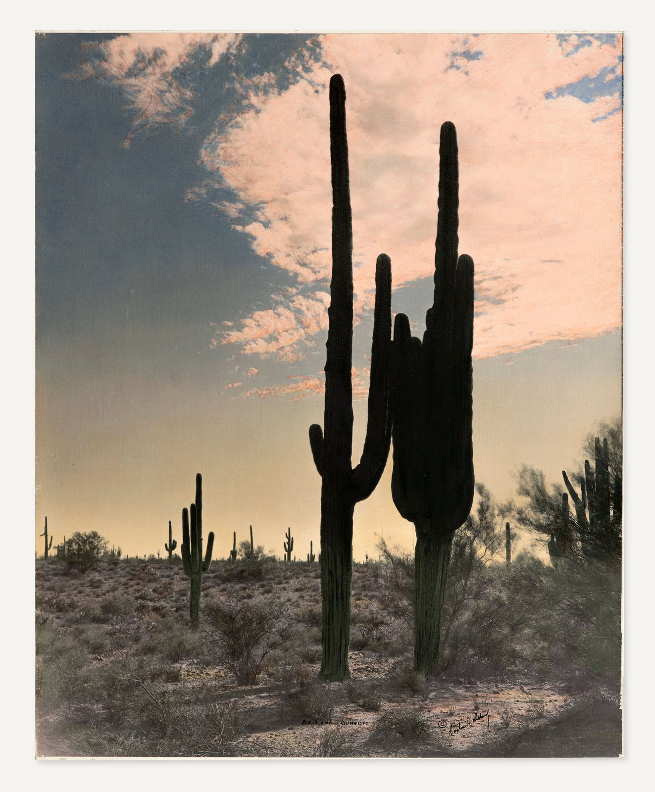 Stephen H. Willard, Arizona Sunsets, 1920s