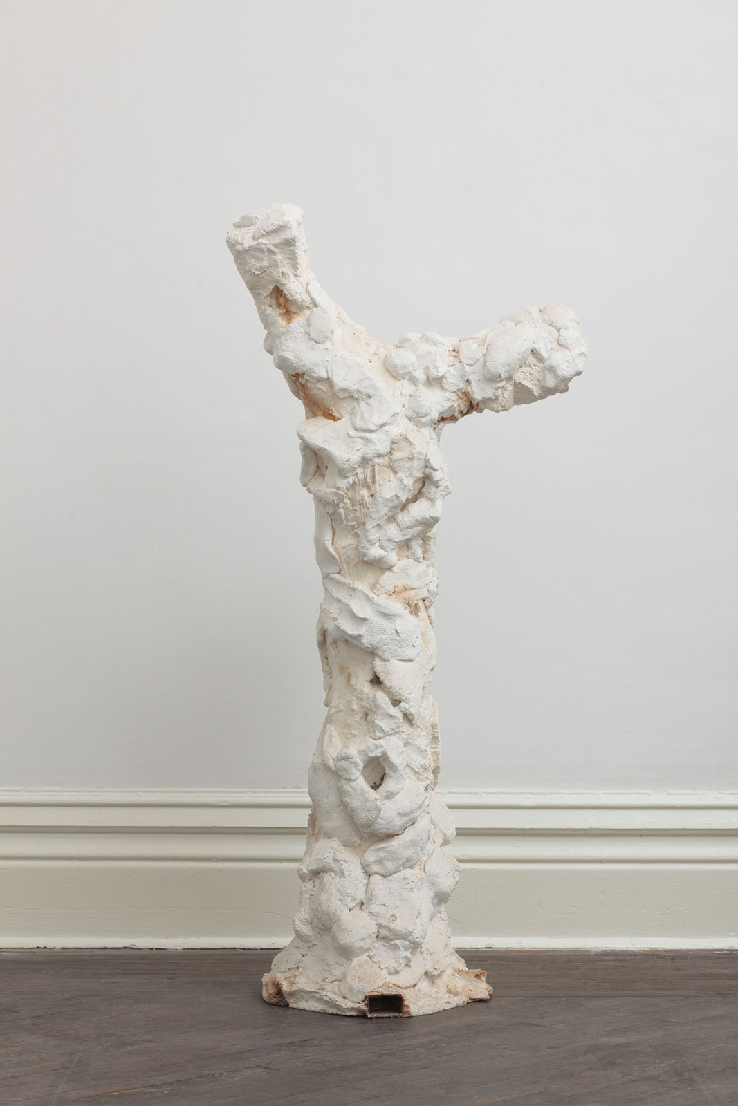 SU Chang, Tree N0.9 树的肖像 9, 2015