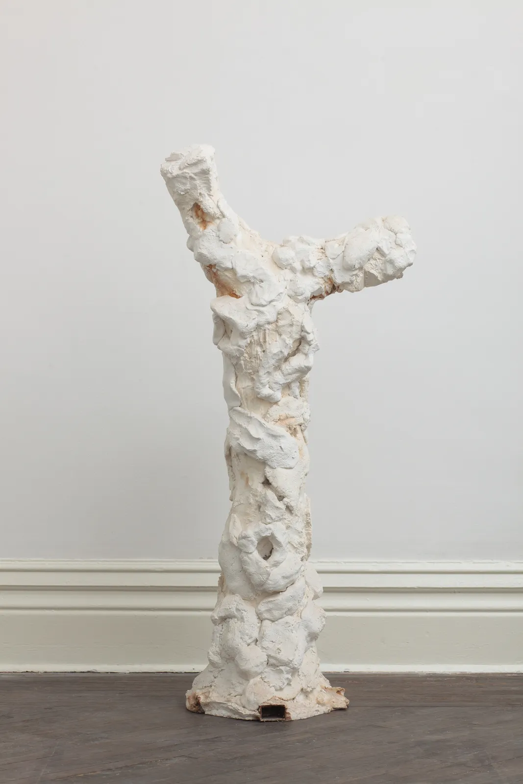 SU Chang, Tree N0.9 树的肖像 9, 2015