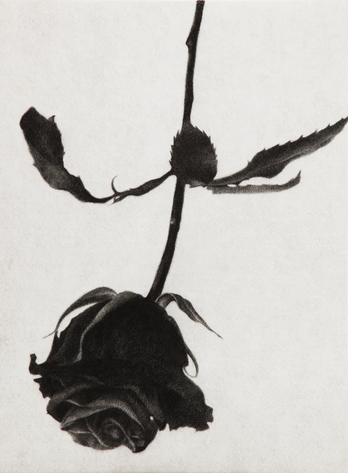 ZHANG Yunyao 张云垚, The Vanishing Midnight 消失的午夜, 2013