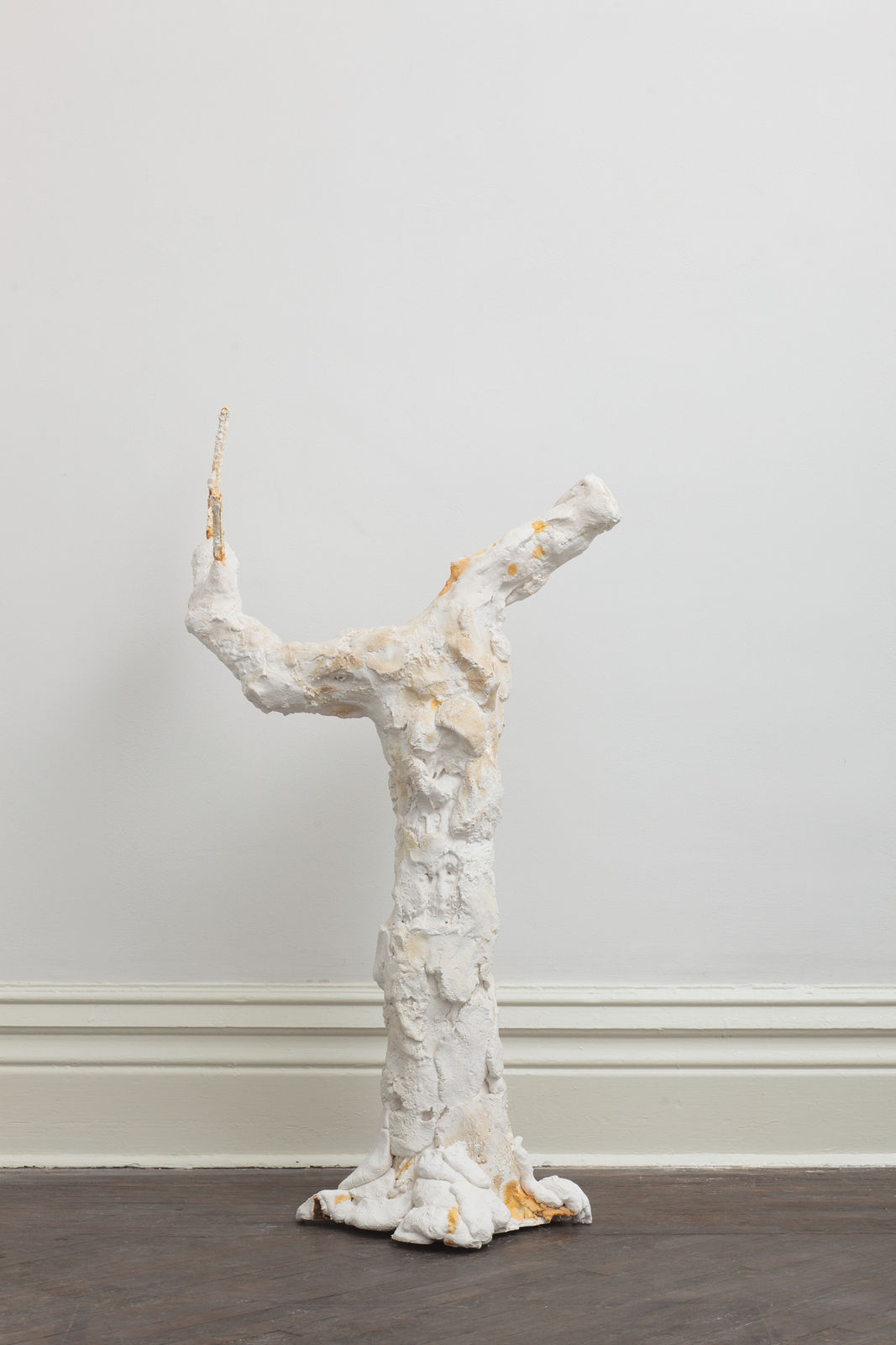 SU Chang, Tree N0.10 树的肖像10, 2015