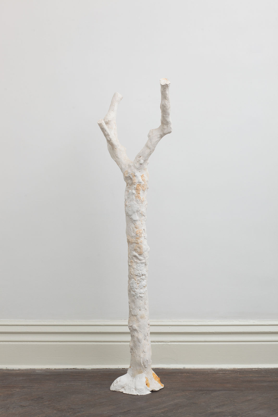 SU Chang, Tree N0.7 树的肖像 7, 2015