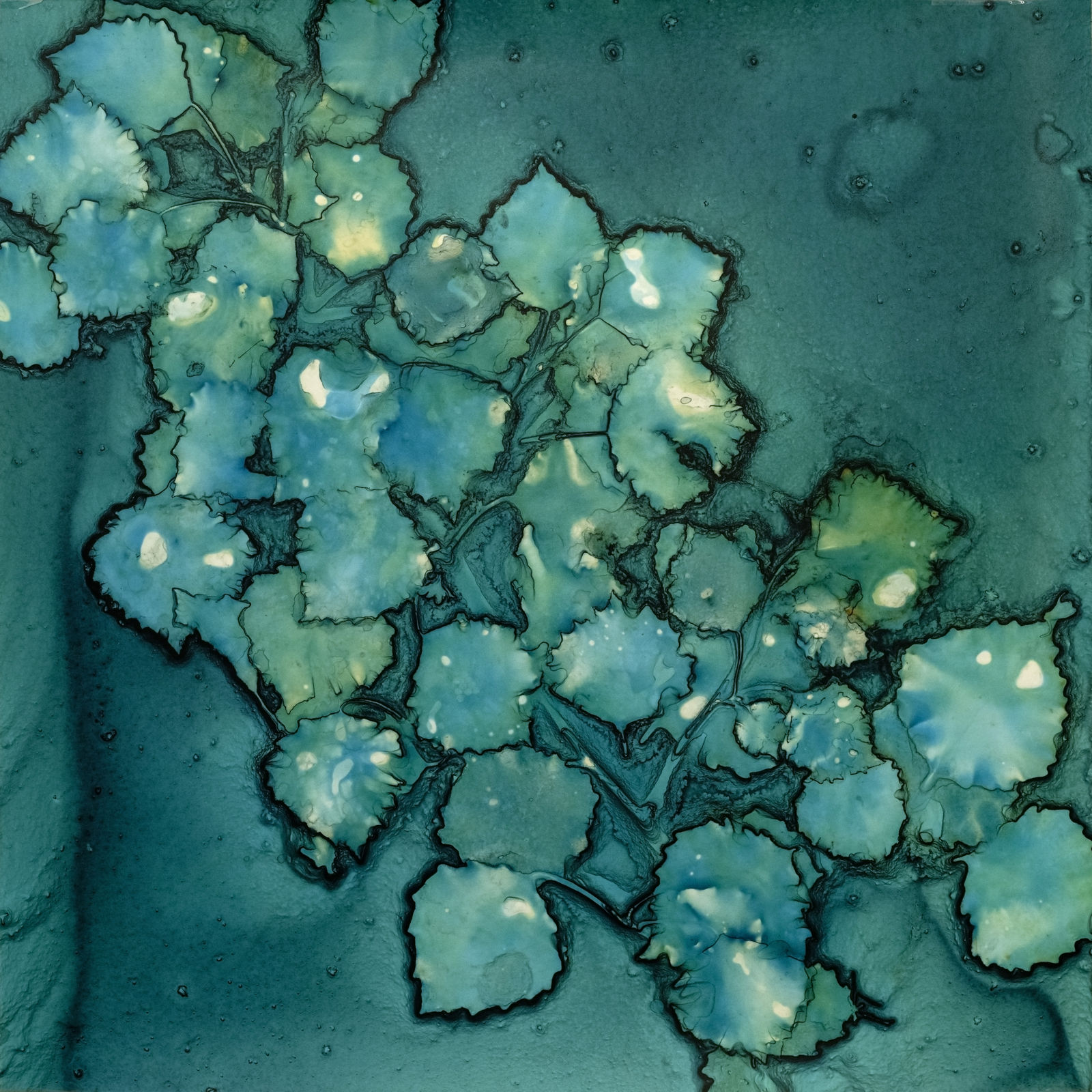 WANG Ningde 王宁德, The Deluge 431431 大洪水431431, 2023