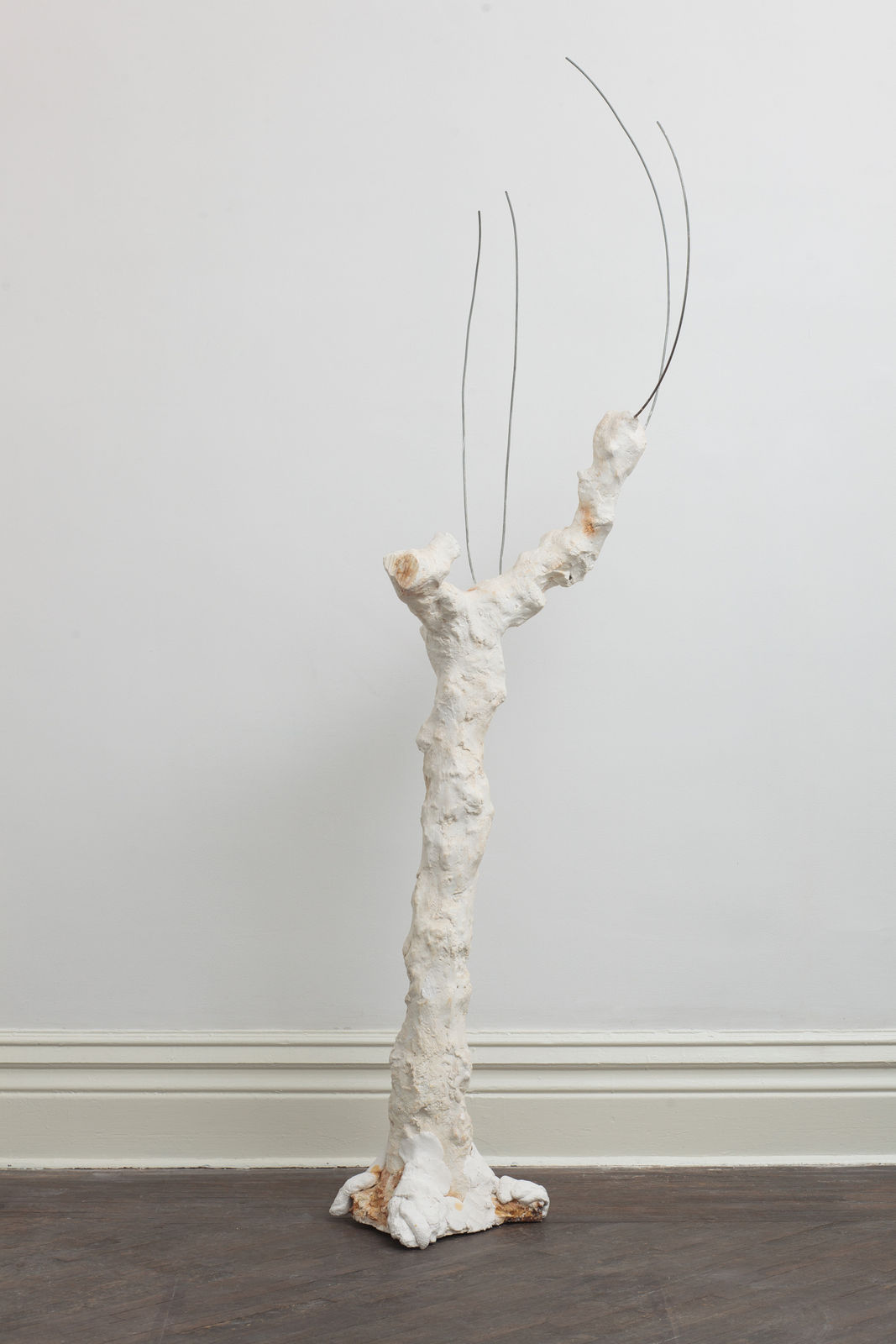 SU Chang, Tree N0.6 树的肖像 6, 2015