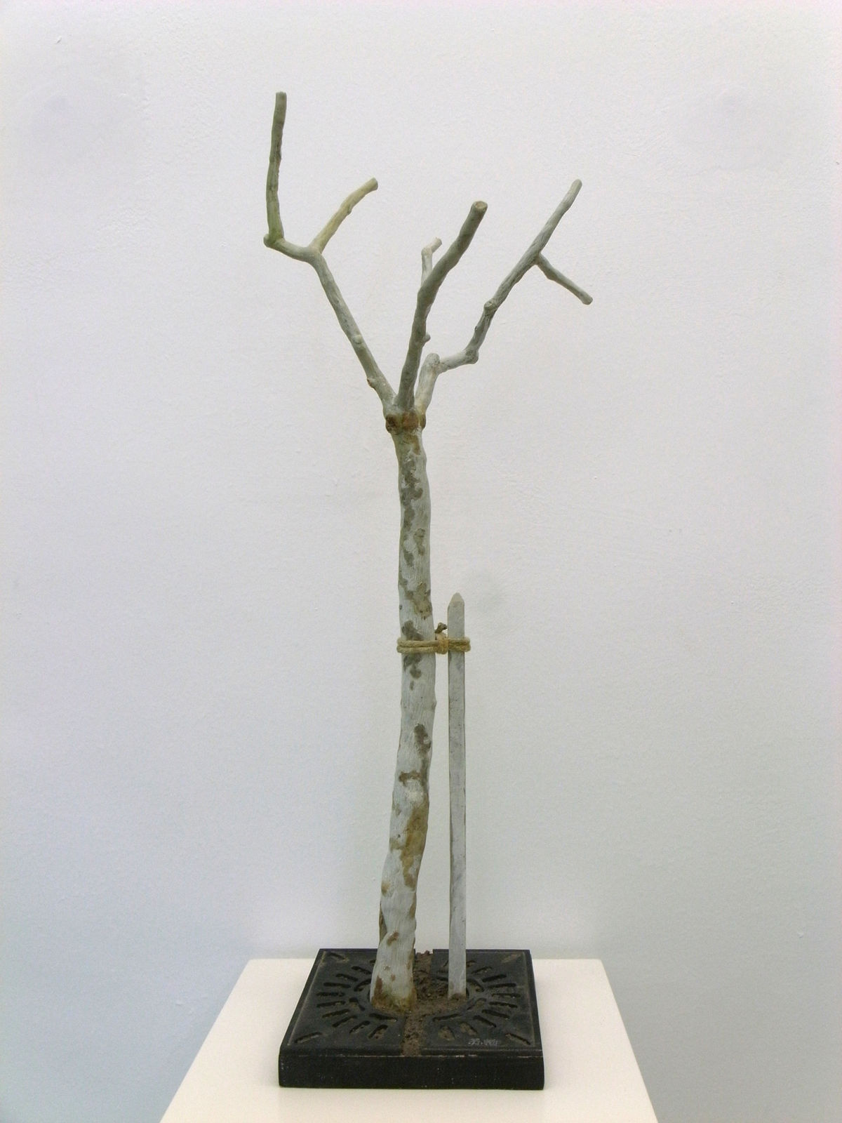 SU Chang, Young Tree 年轻的树, 2012