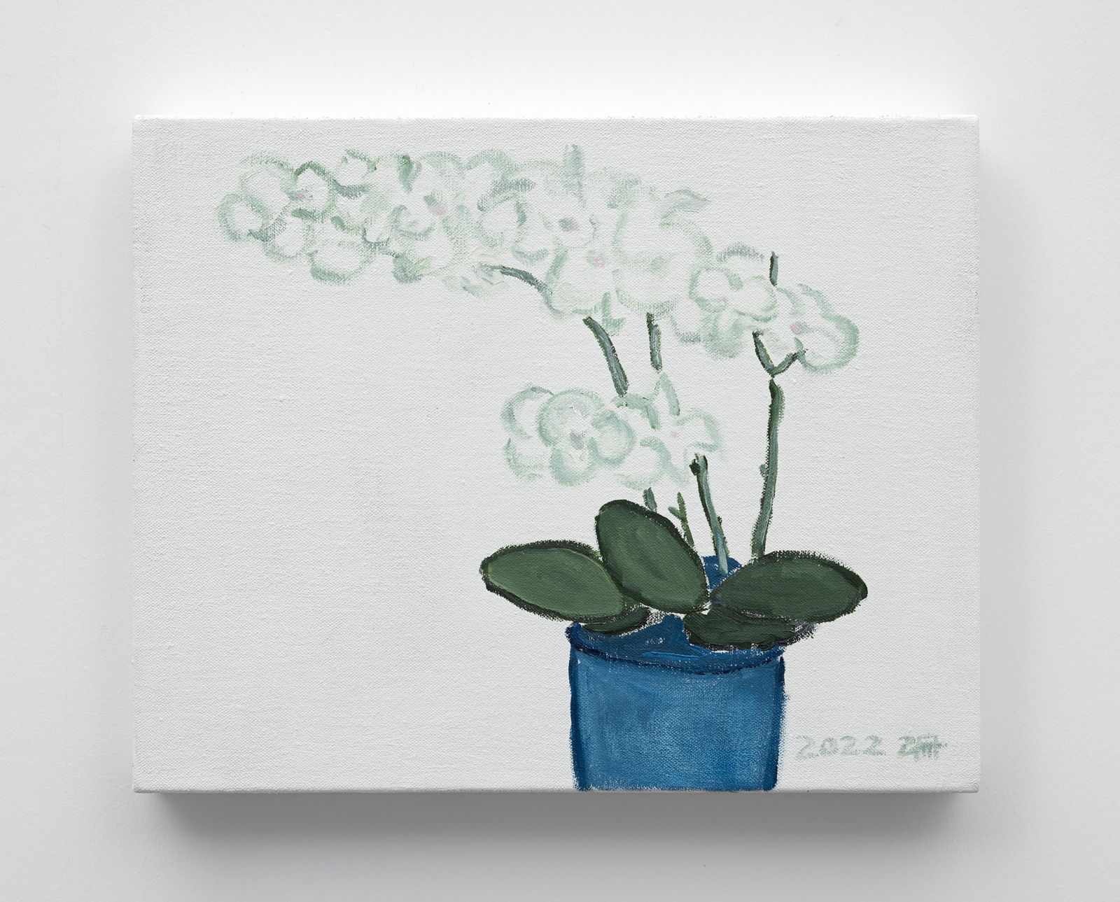 LI Shan 李珊, Phalaenopsis 蝴蝶兰, 2022