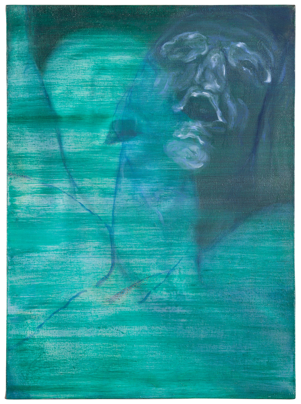 ZHANG Yunyao 张云垚, Portrait of Z Z的肖像, 2015