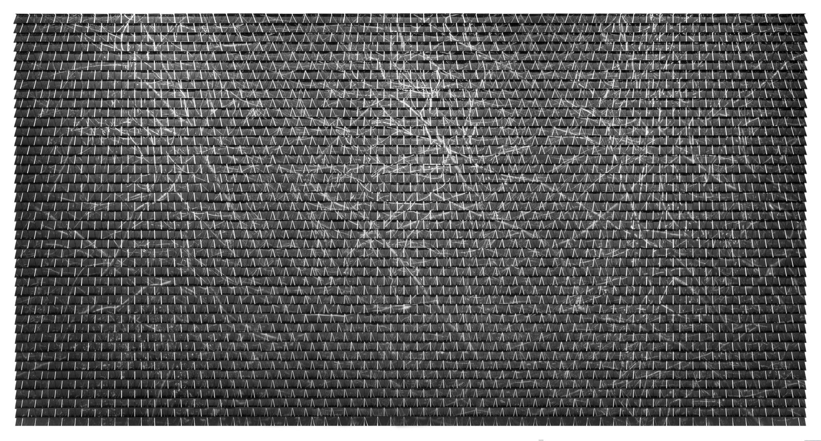 WANG Ningde 王宁德, Form of Light _Thicket #02 有形之光_丛林 #02, 2014