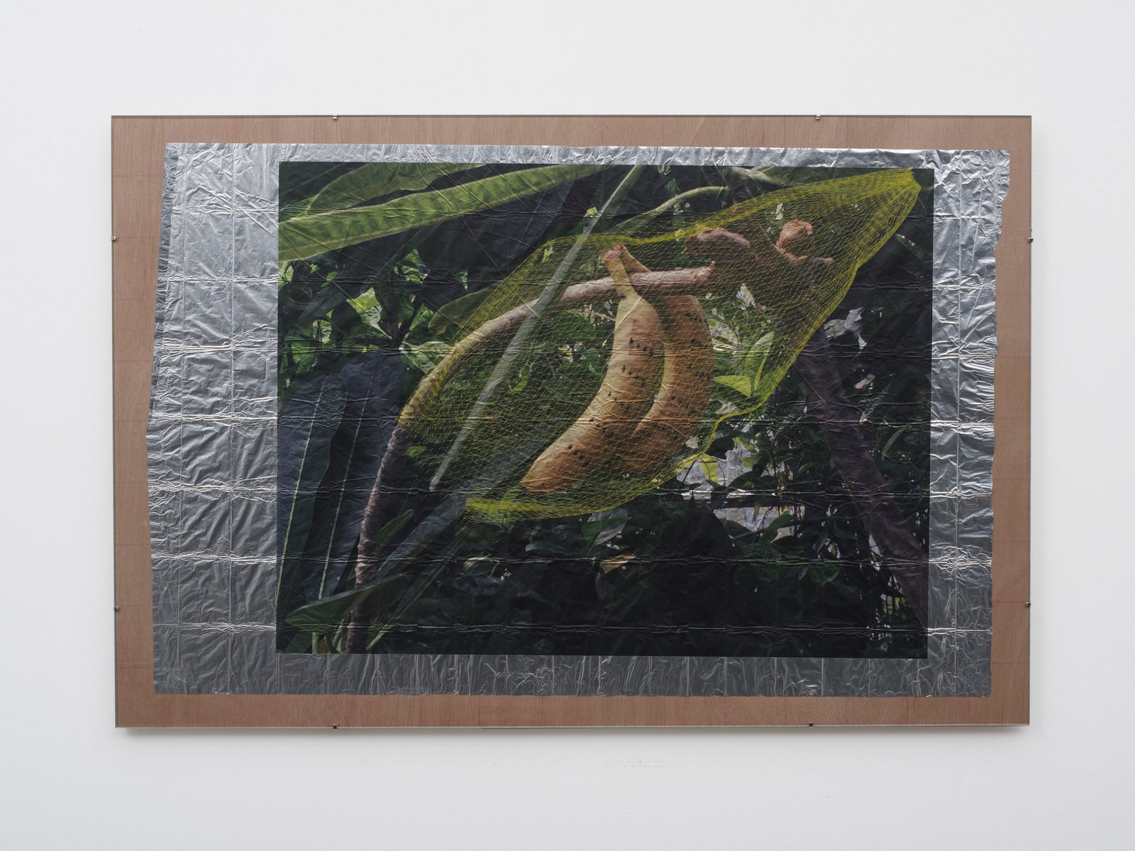 ZHANG Ruyi 张如怡, Forging 觅食, 2019