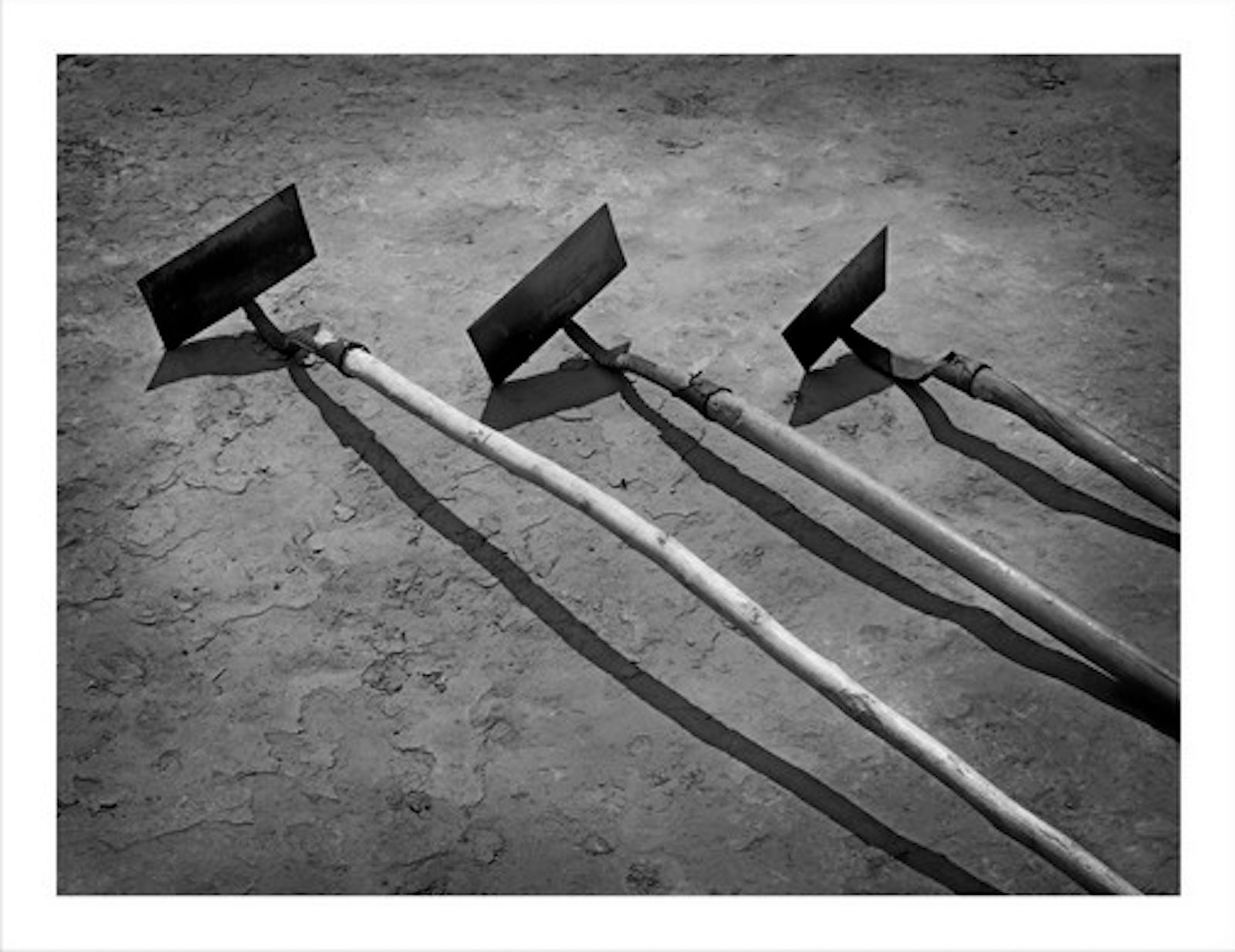 WANG Zheng, Hoe Tianlaozhuang, Ningxia Province 锄 宁夏田老庄, 2008