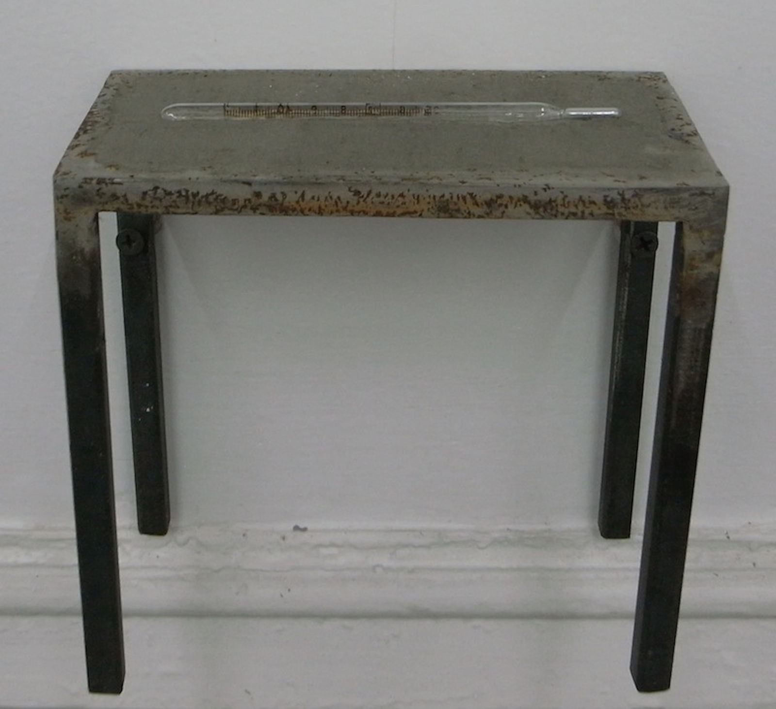 ZHANG Ruyi 张如怡, Table─9 桌子─9, 2013