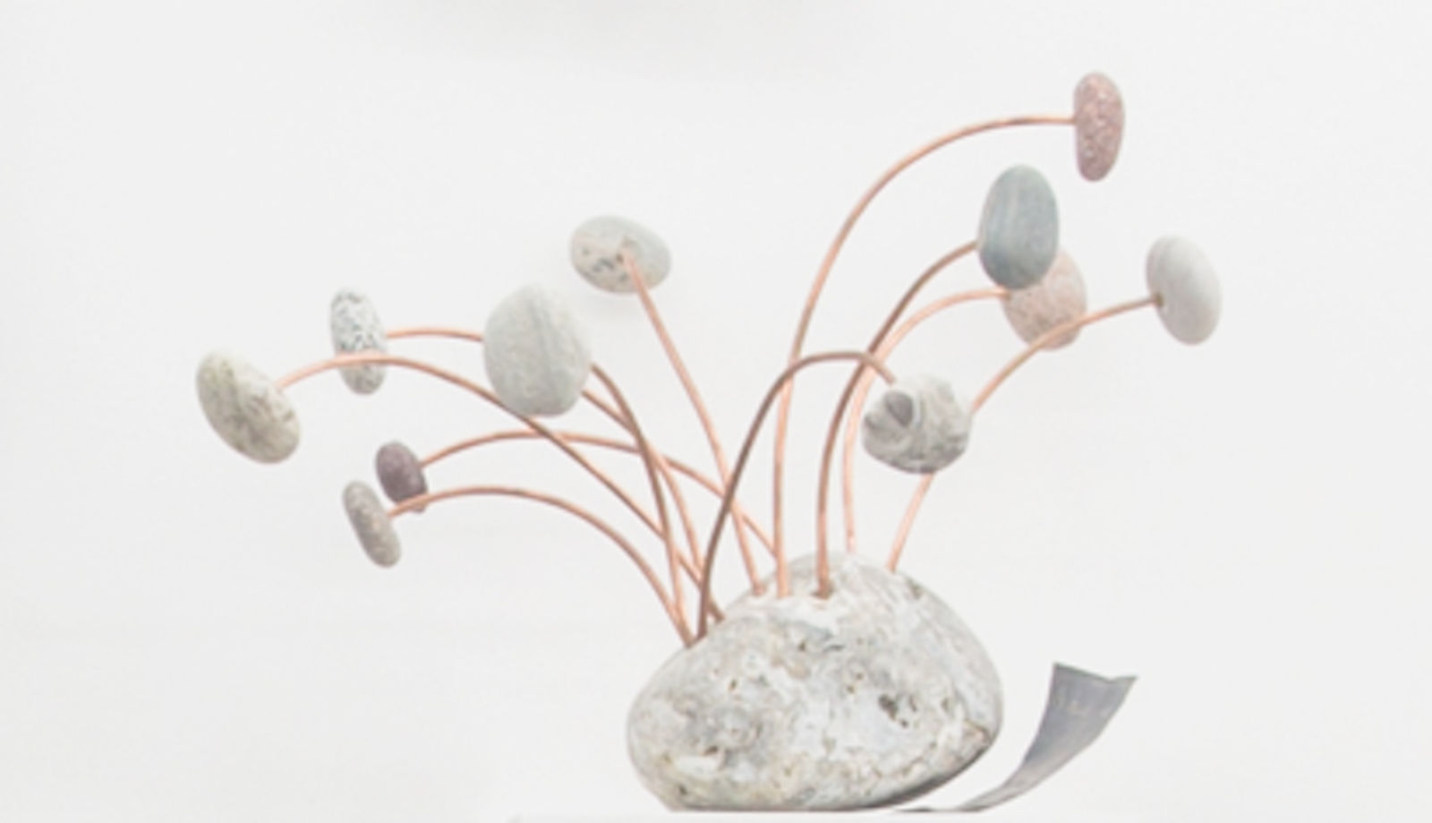 HU Weiyi, Today Project 今日计划, 2016