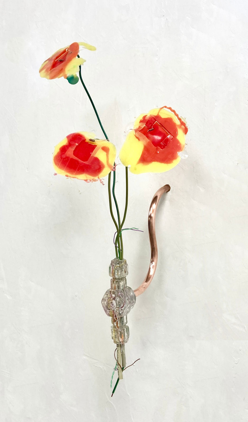 Gillian Brett, Bromus Rubens (var Papaver), 2025