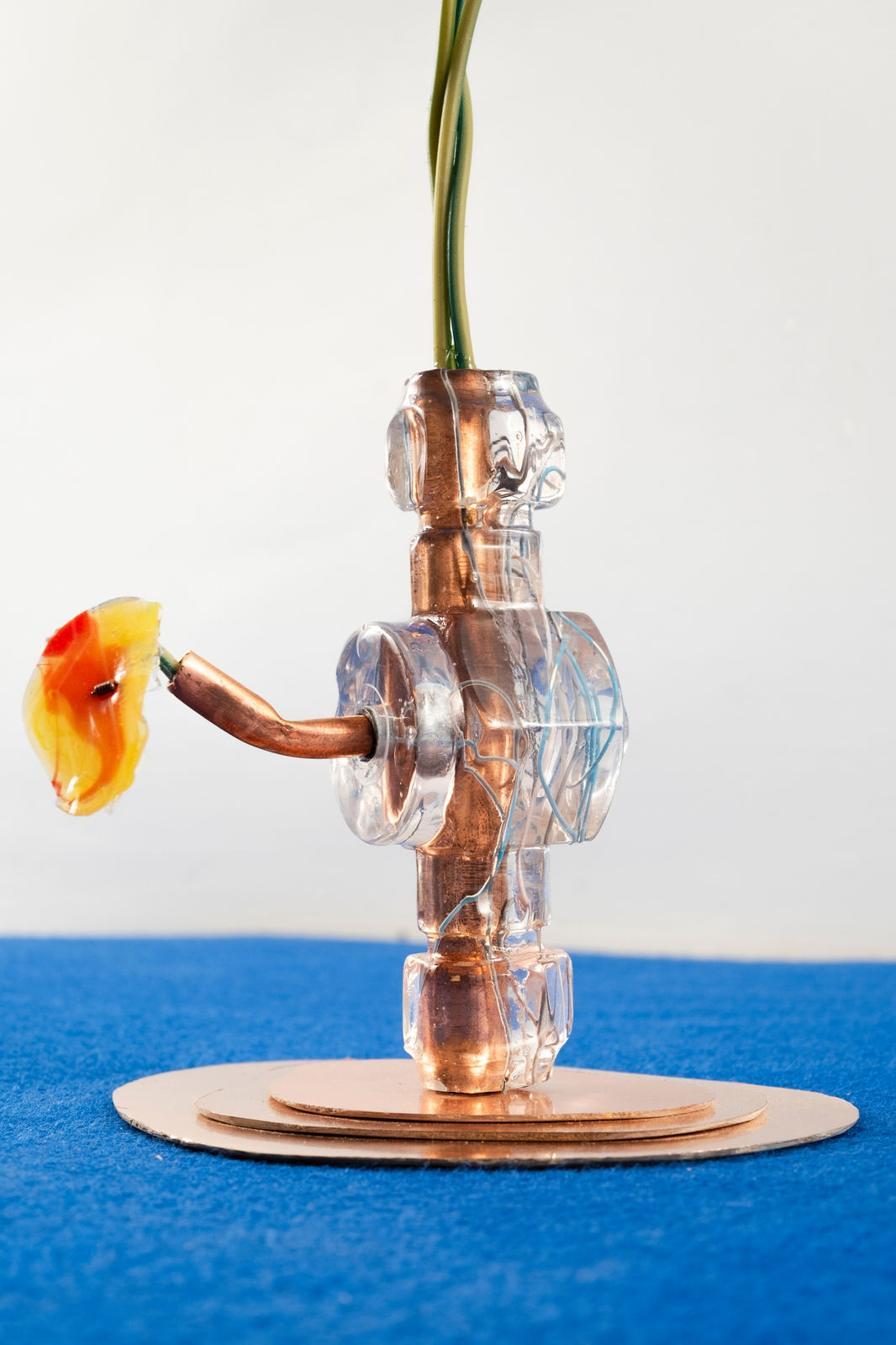 Gillian Brett, Bromus Rubens (var Papaver rhoeas), 2025