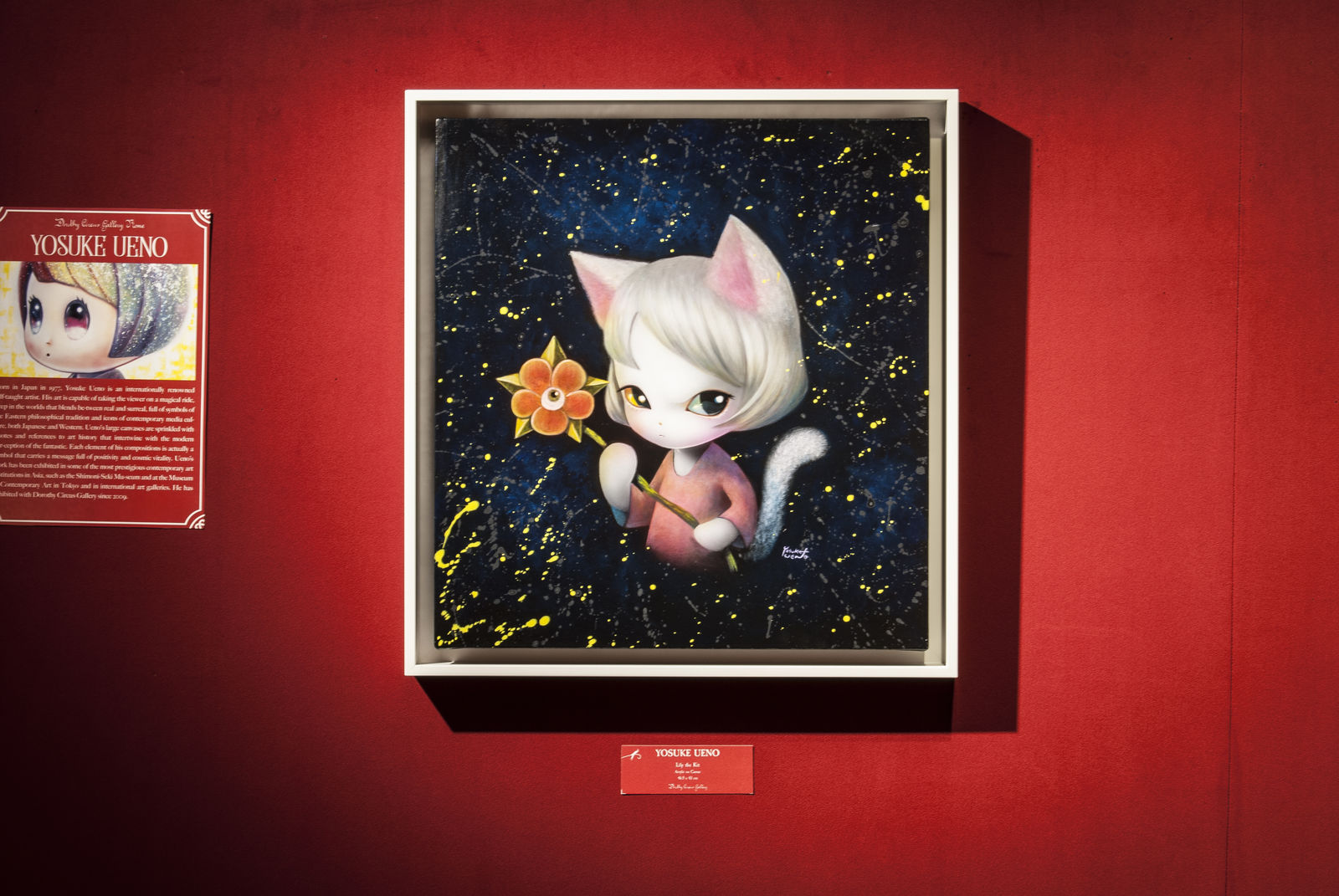 Yosuke Ueno, Lily the Kit, 2022