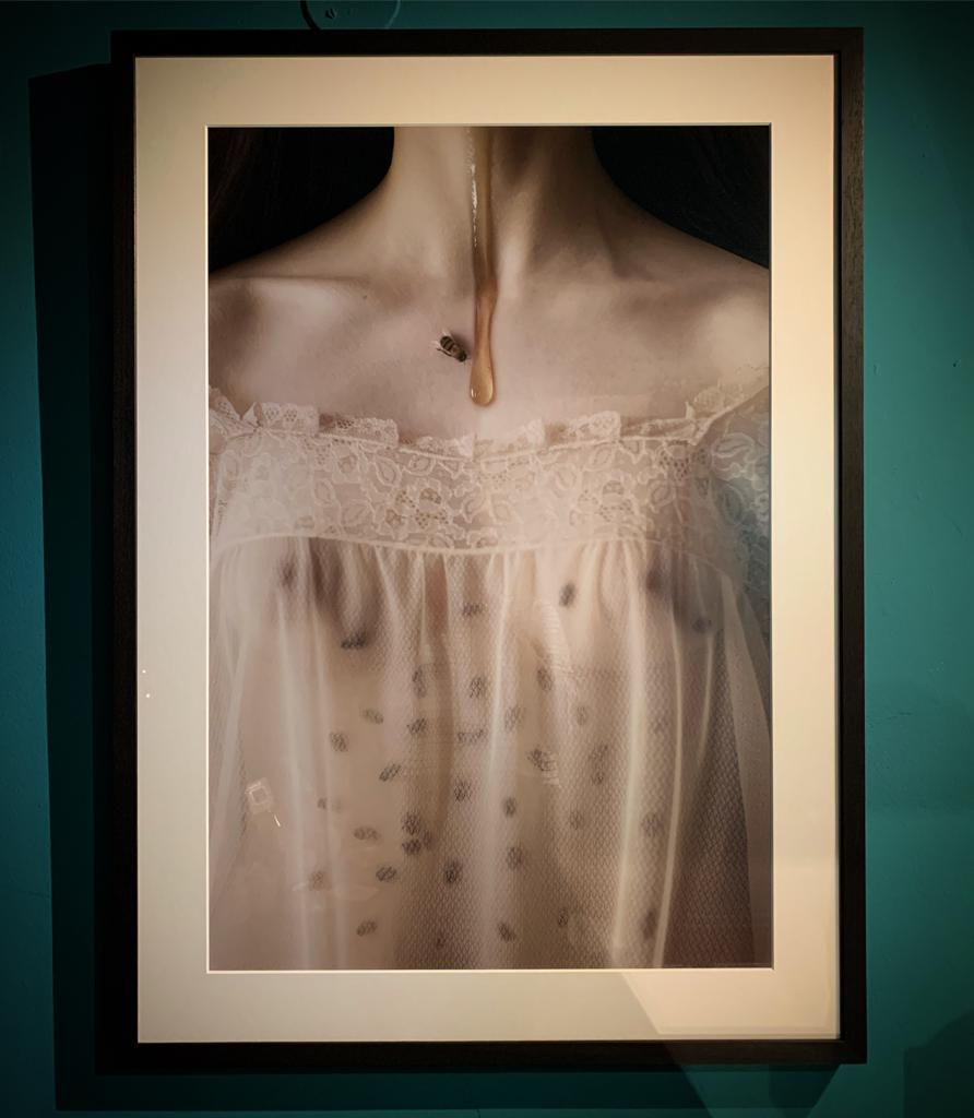 Iness Rychlik, The Beekeeper, 2019