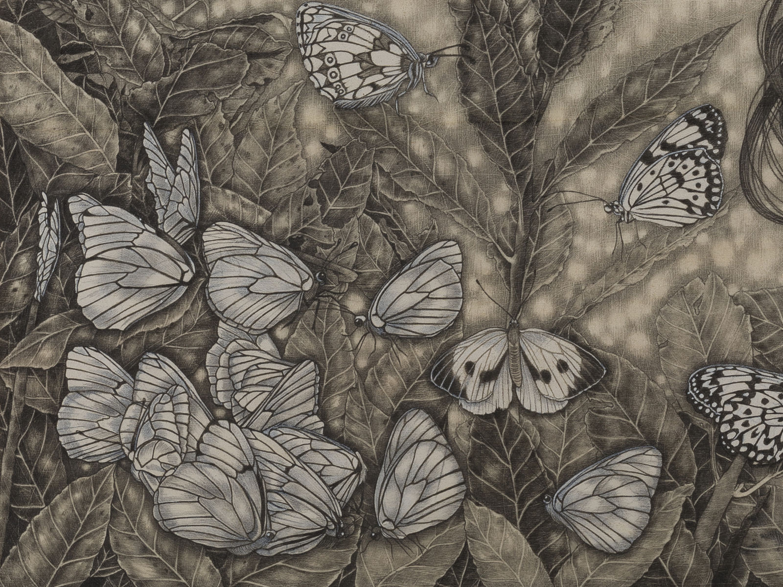 Alessia Iannetti, Lacryphagy, 2018