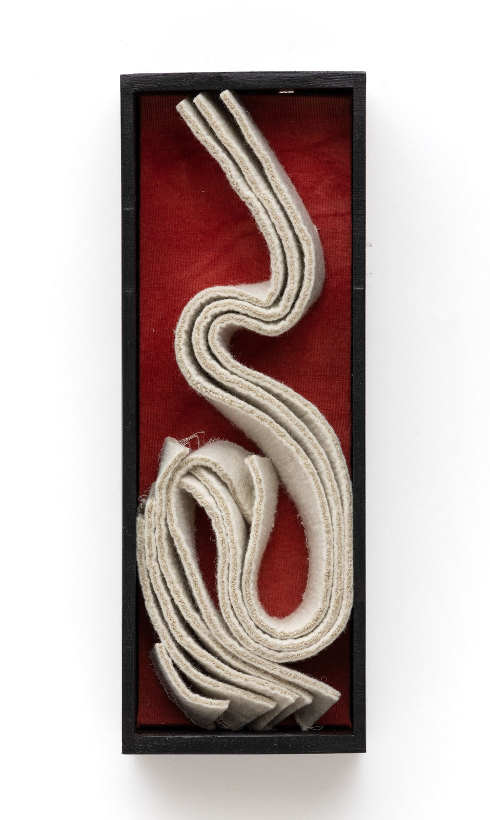 Kristy Kún, Specimen Series, 2019