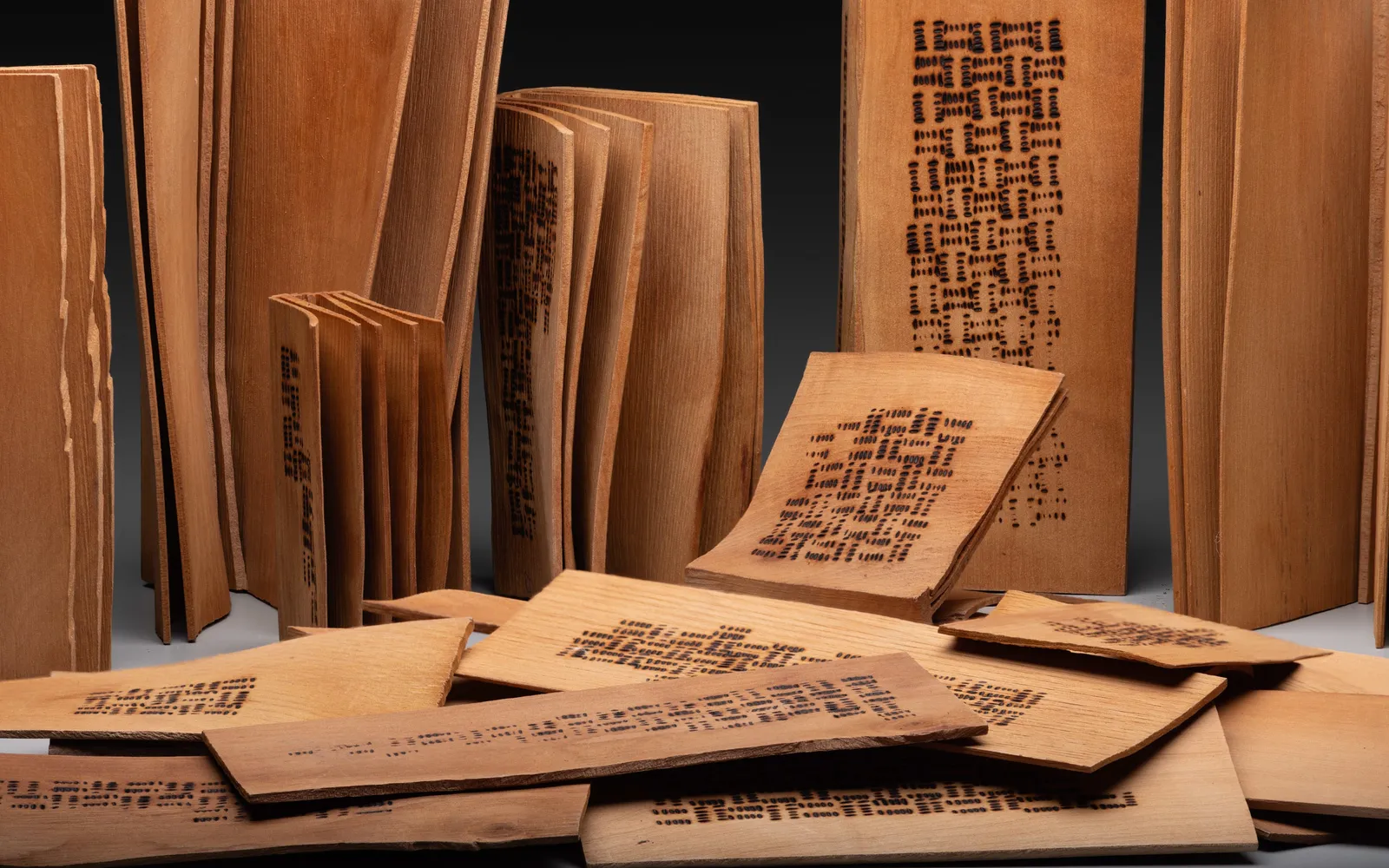 Christian Burchard, Will We Ever Learn? ...History Redacted, 2025