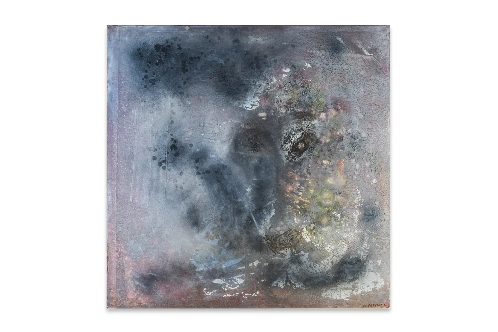 Dakshesh Parikh, Univision, 2025