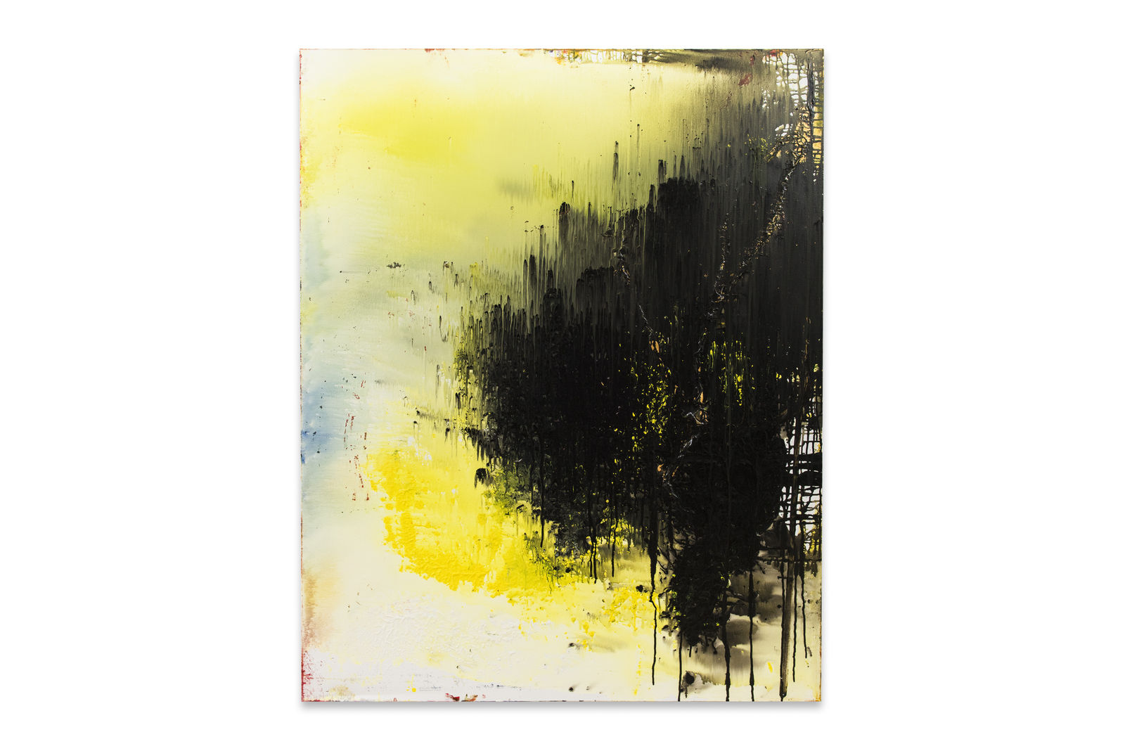 Dakshesh Parikh, The Canary in the Coal Mine, 2022