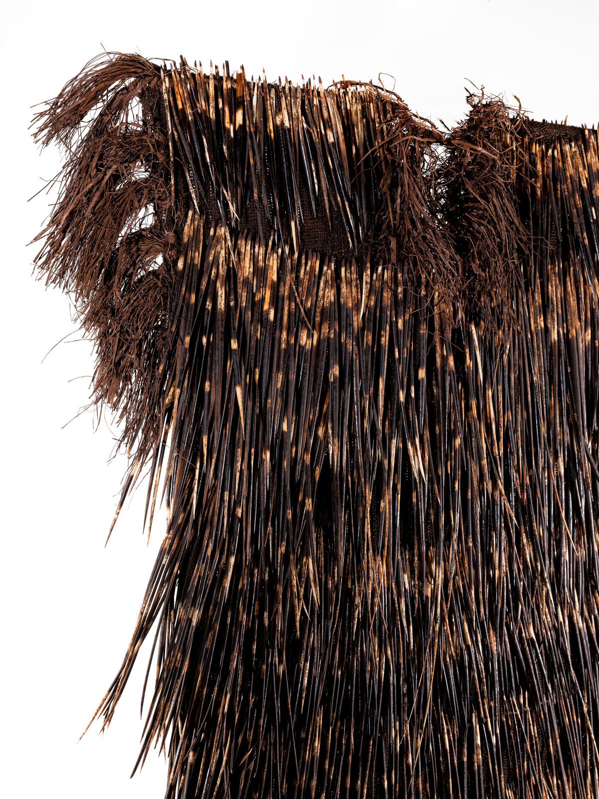 Porcupine Quill Dance Tunic