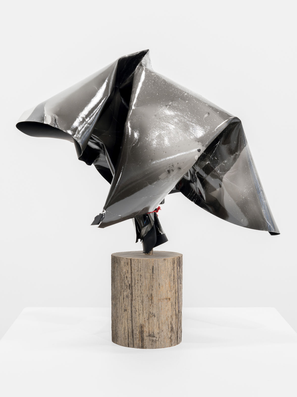 Michael Flomen, Untitled (2), 2023