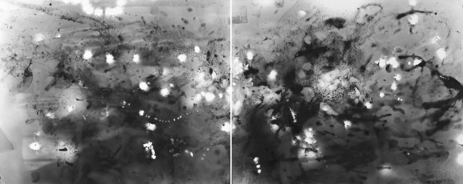 Michael Flomen, Taps, 2019