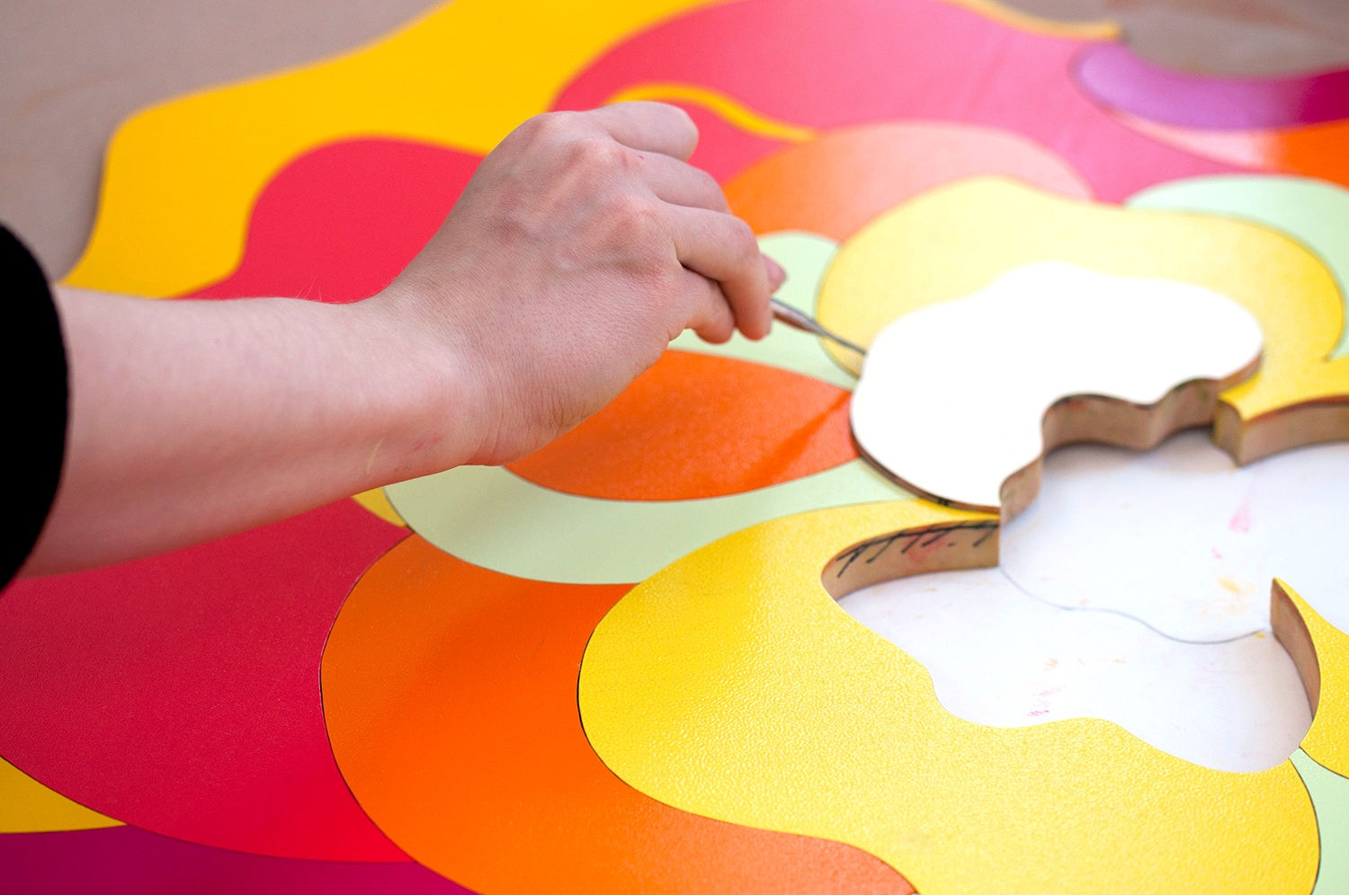 Beatriz Milhazes Snake Dreaming Water Dreaming Print Edition