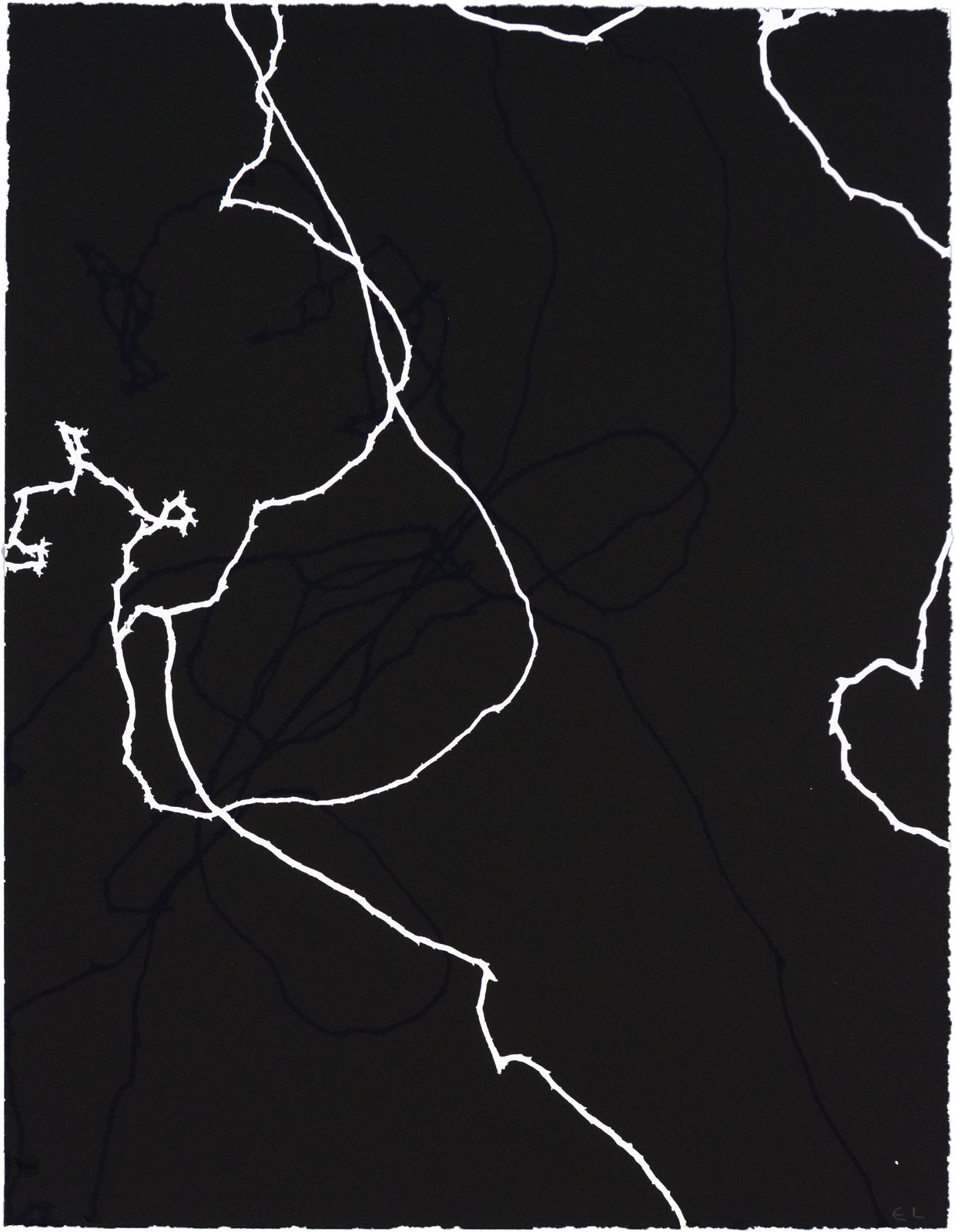 Emil Lukas Double Event Larva 1893 Mono Print